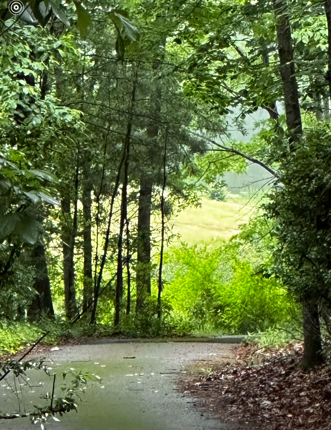 102 White Birch Court