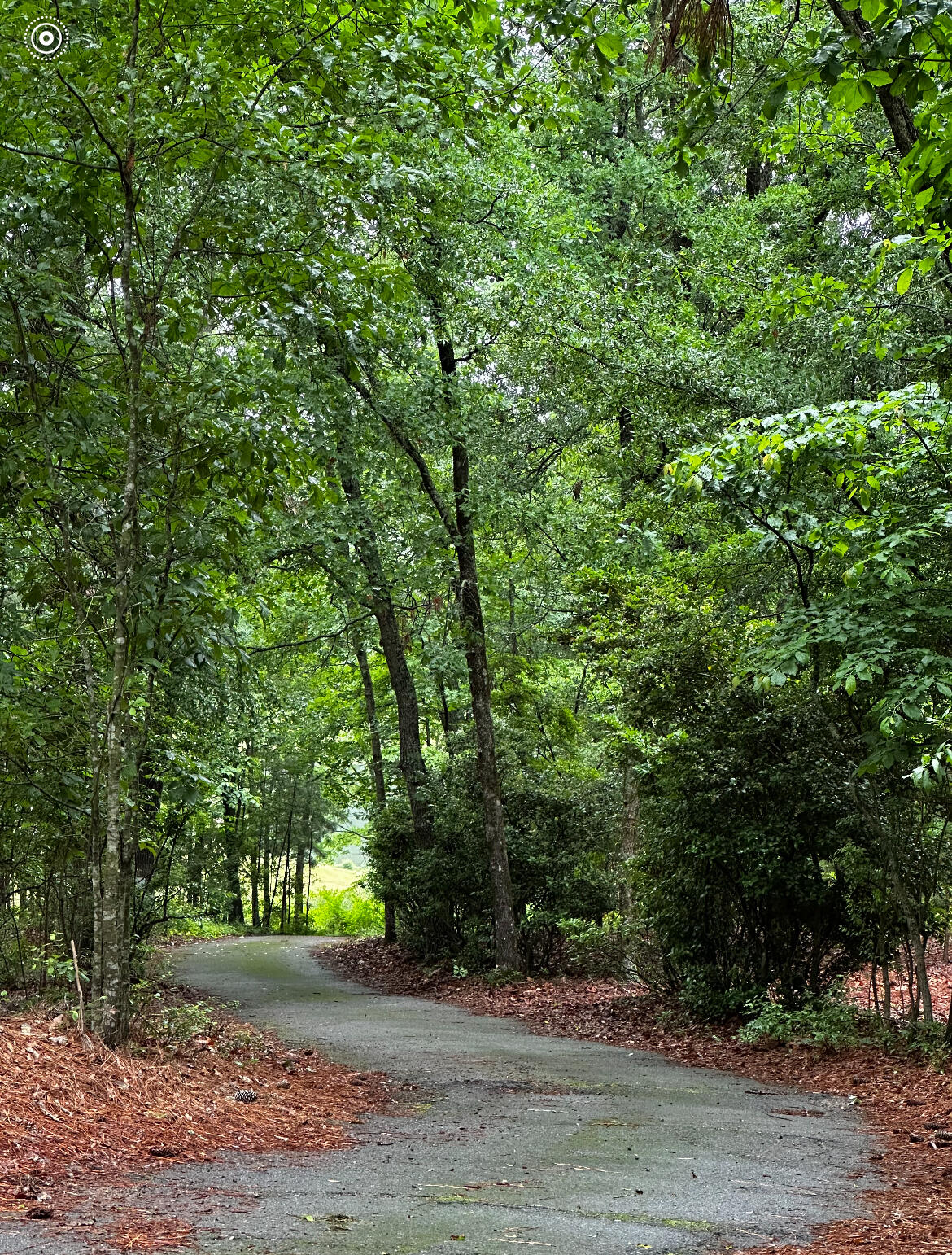 102 White Birch Court