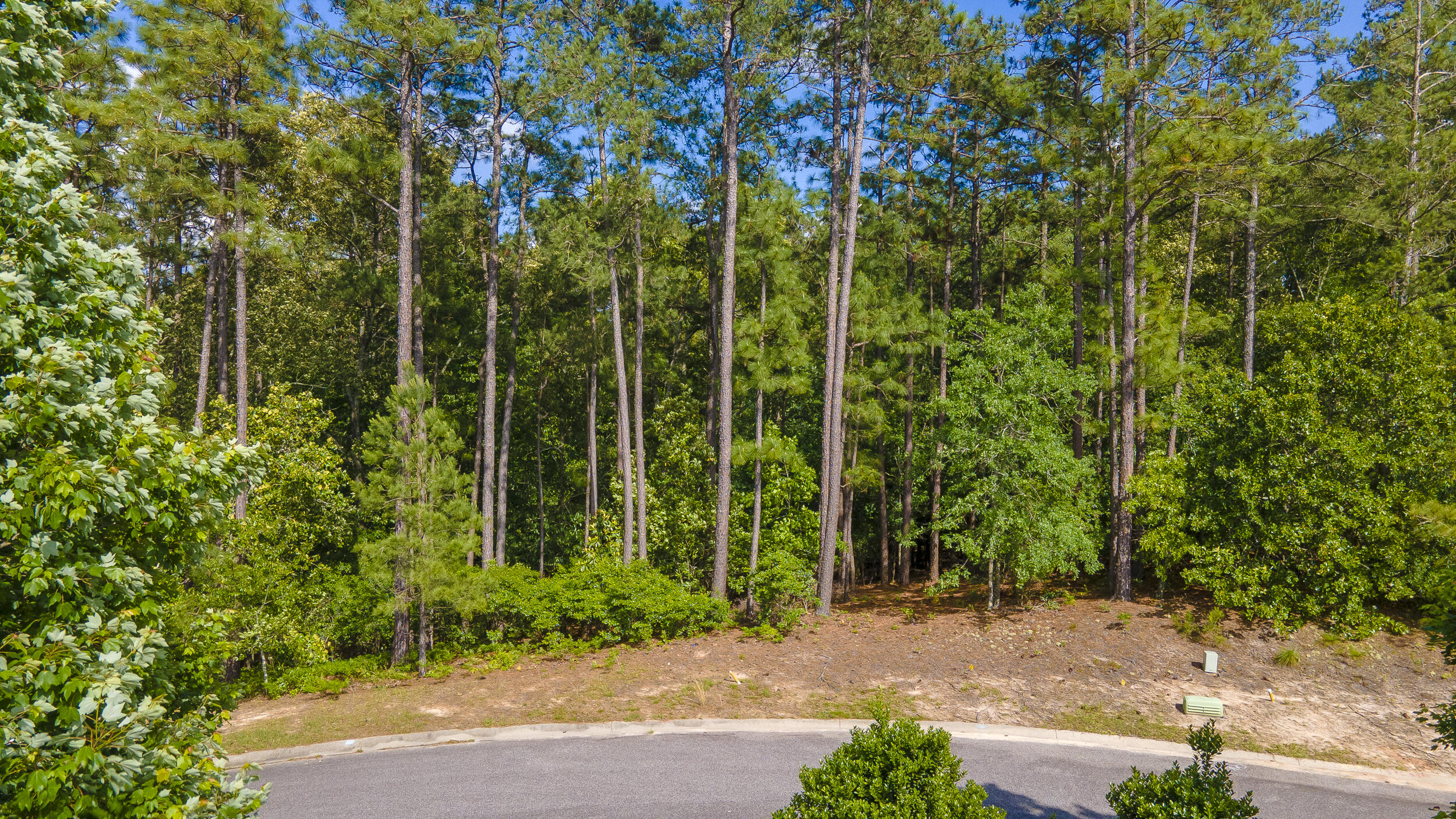 102 White Birch Court