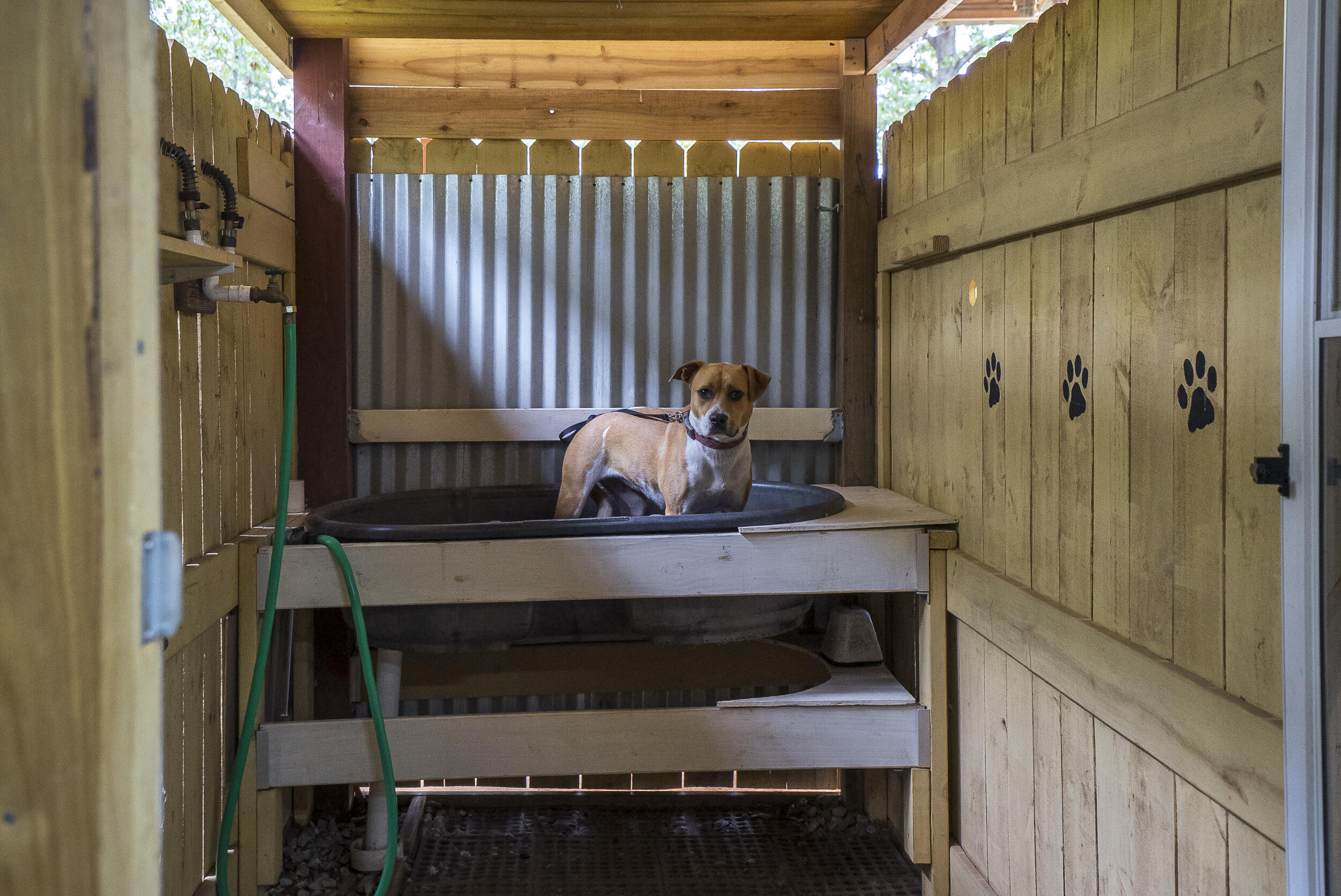 149 Pine Hollow Drive