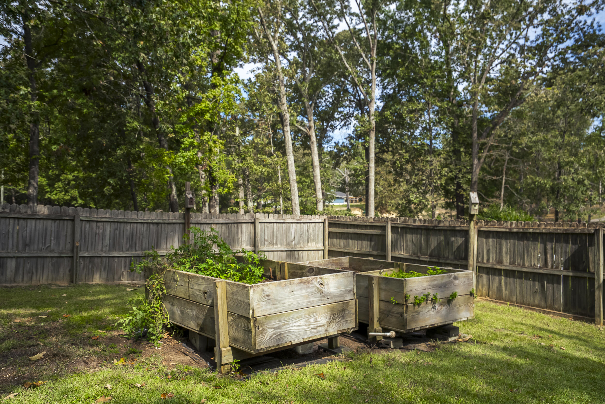 149 Pine Hollow Drive