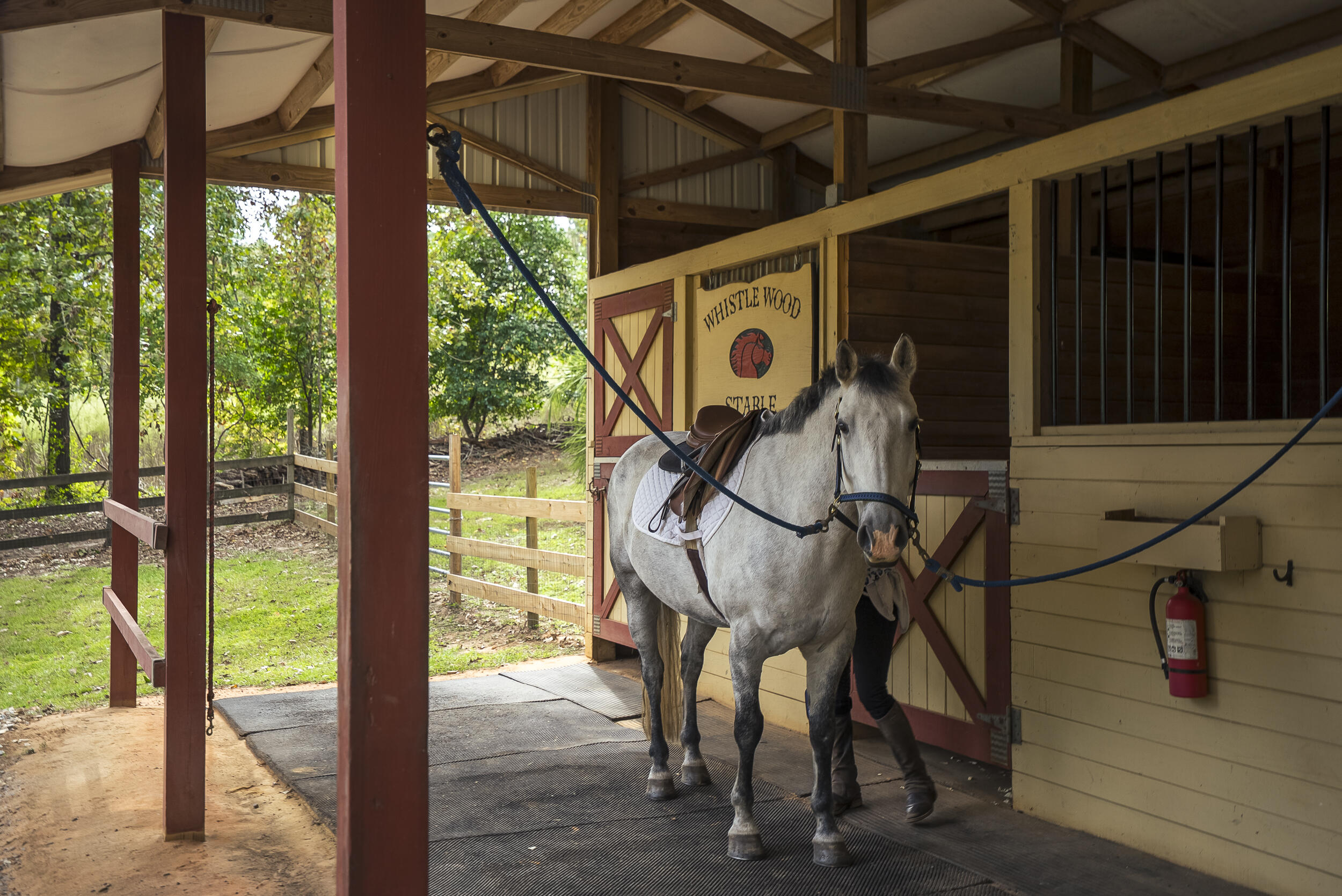 149 Pine Hollow Drive