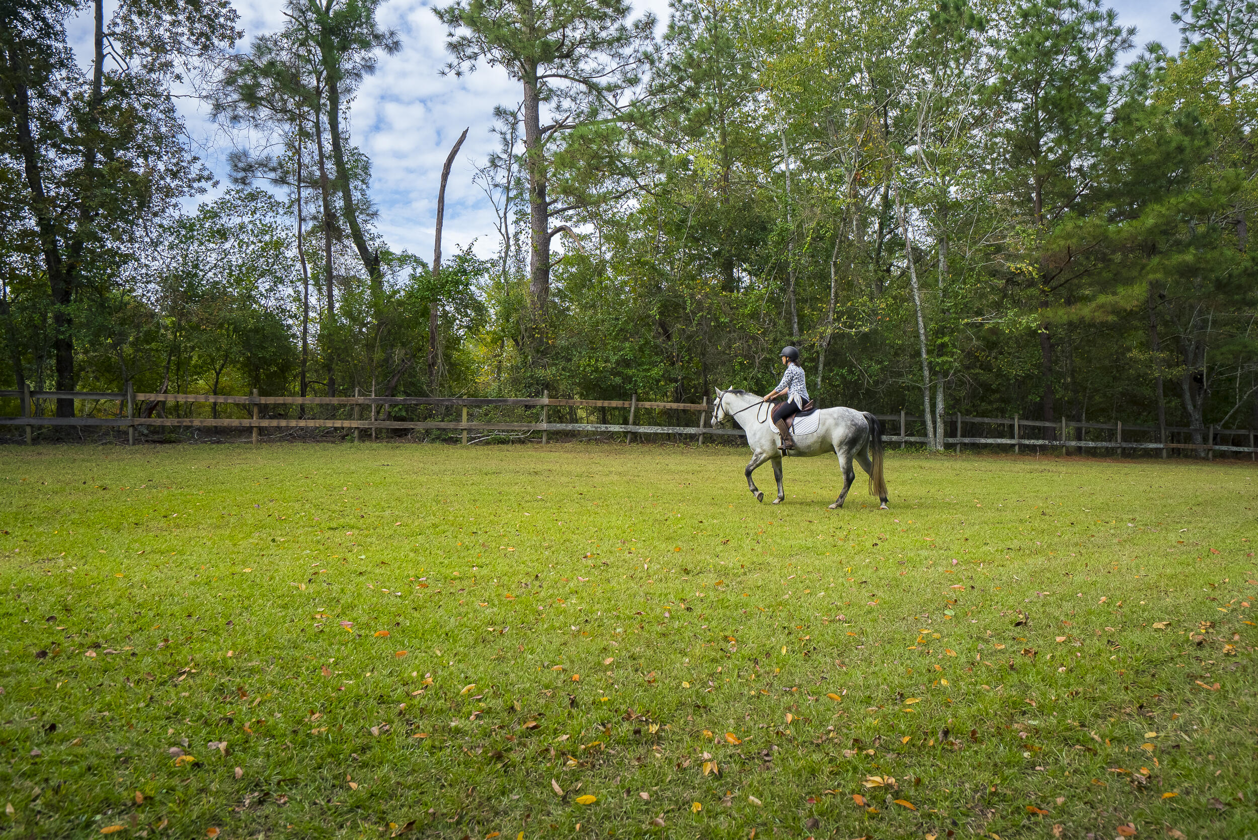 149 Pine Hollow Drive