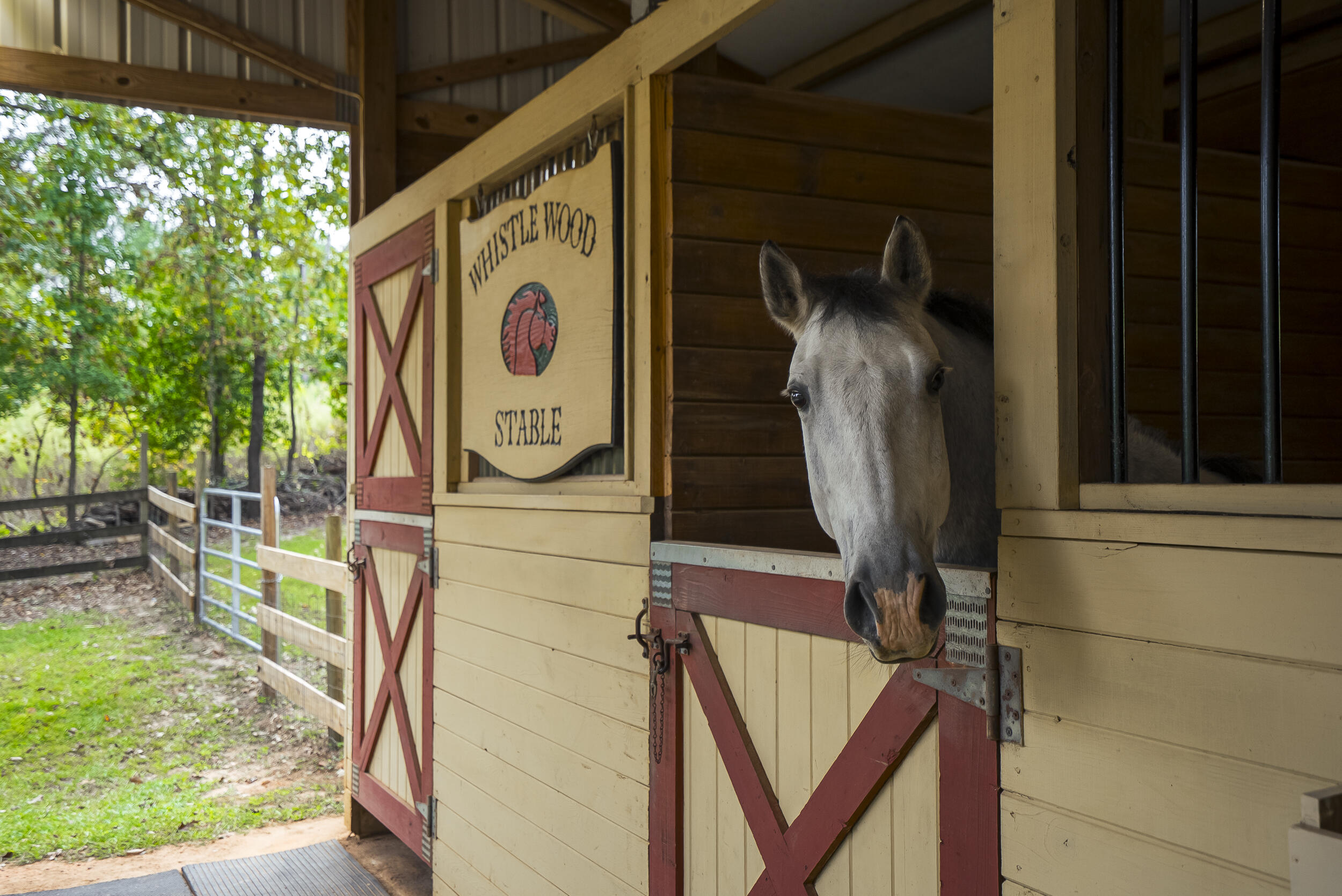 149 Pine Hollow Drive