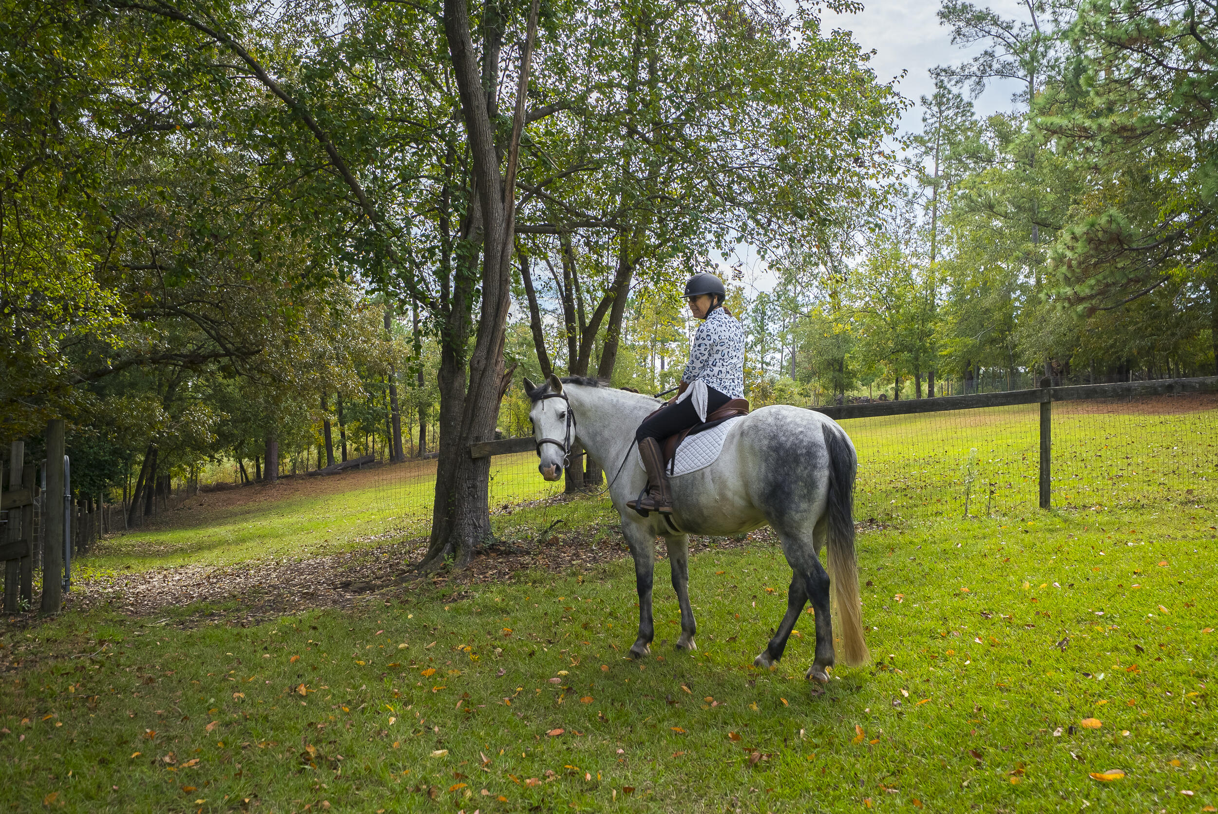 149 Pine Hollow Drive