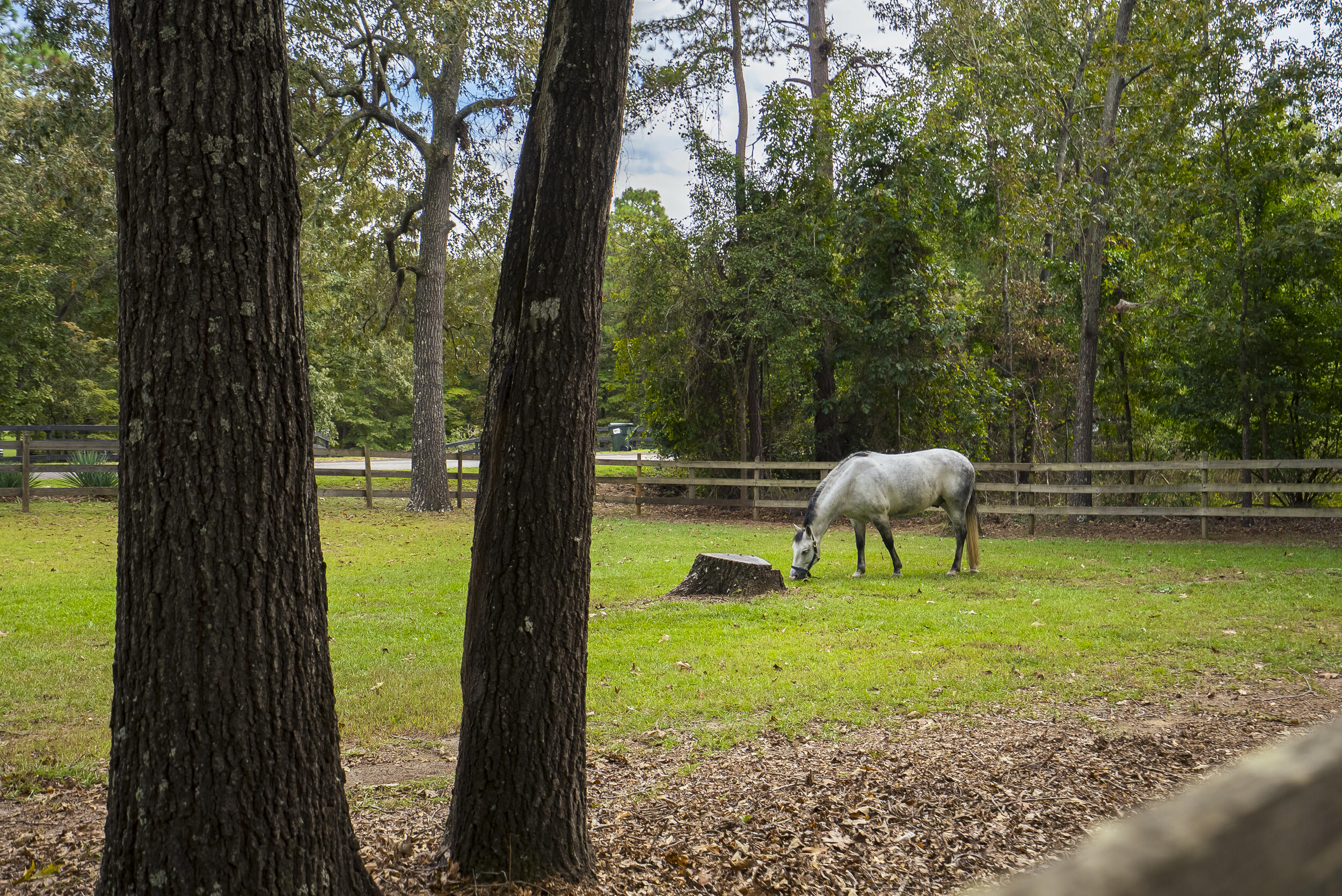 149 Pine Hollow Drive