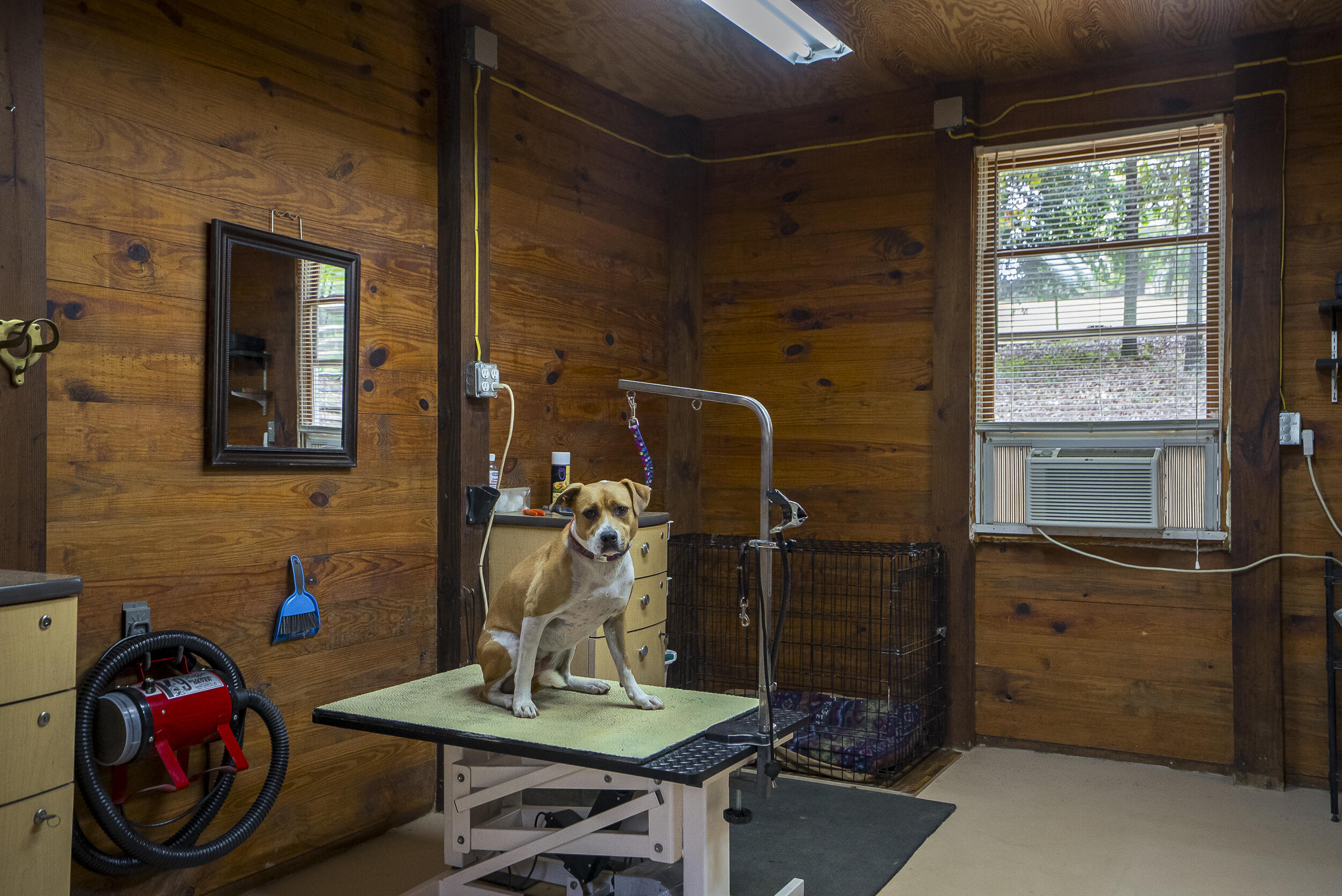 149 Pine Hollow Drive