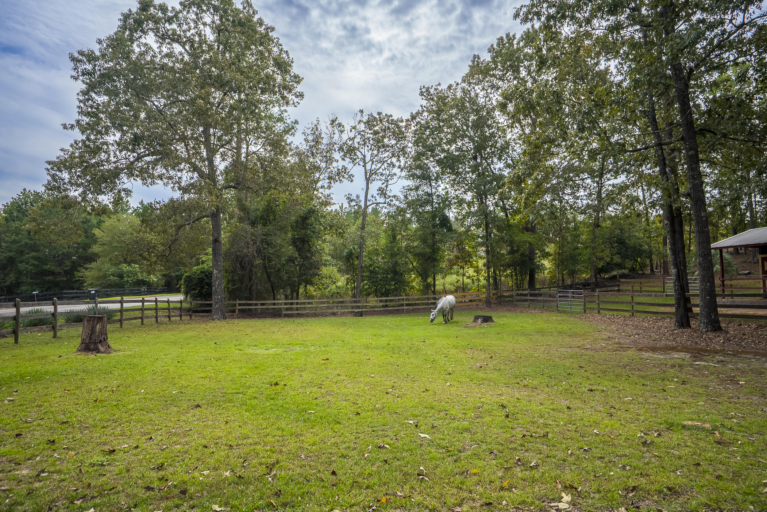 149 Pine Hollow Drive