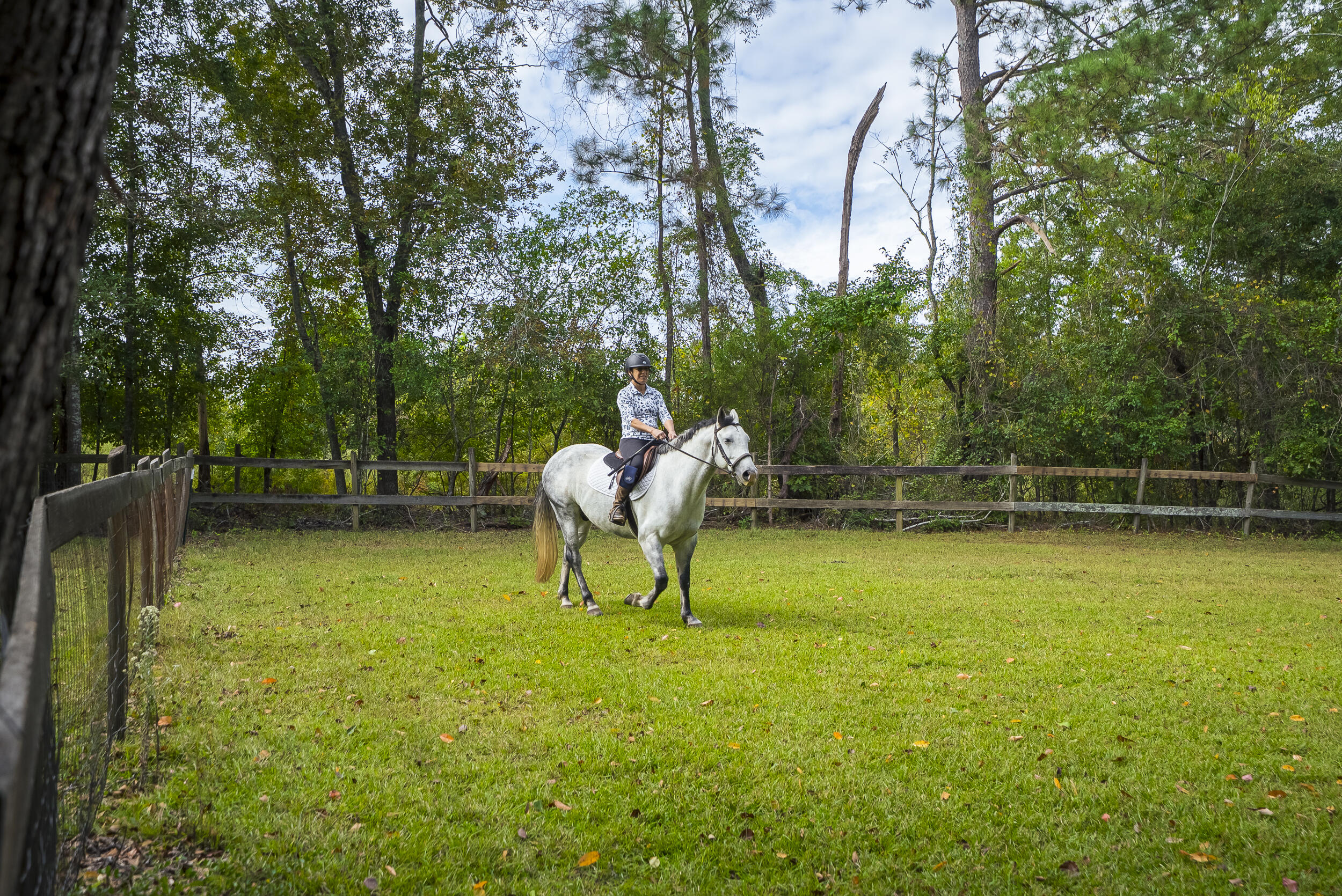 149 Pine Hollow Drive