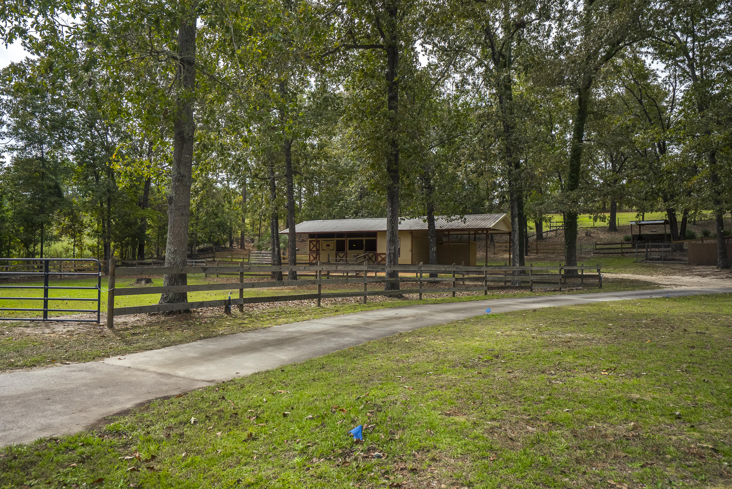 149 Pine Hollow Drive