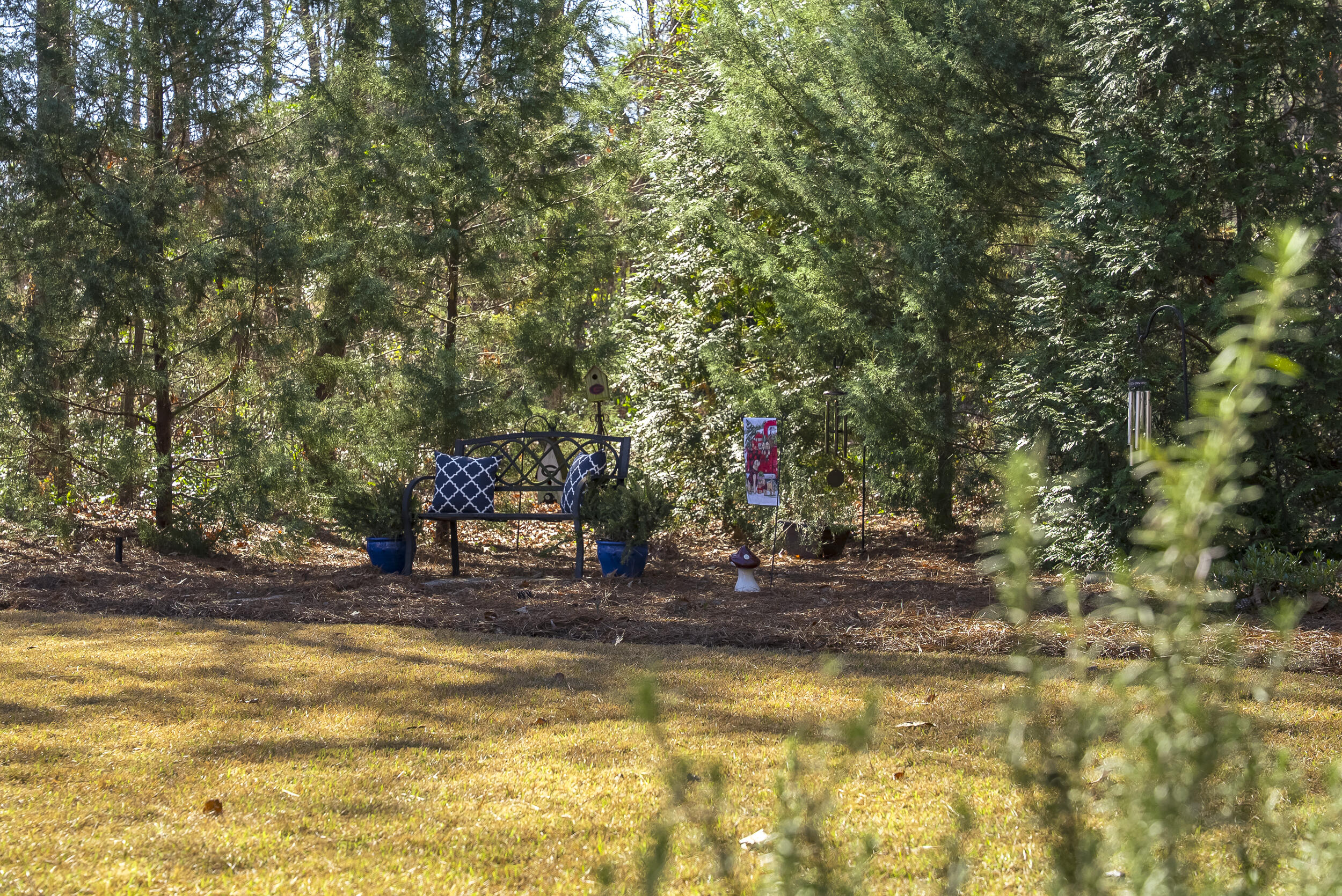 136 Pinyon Pine Loop