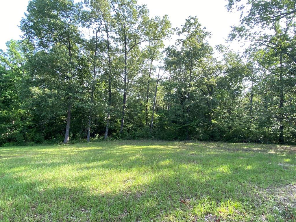 387 Wexford Mill Drive