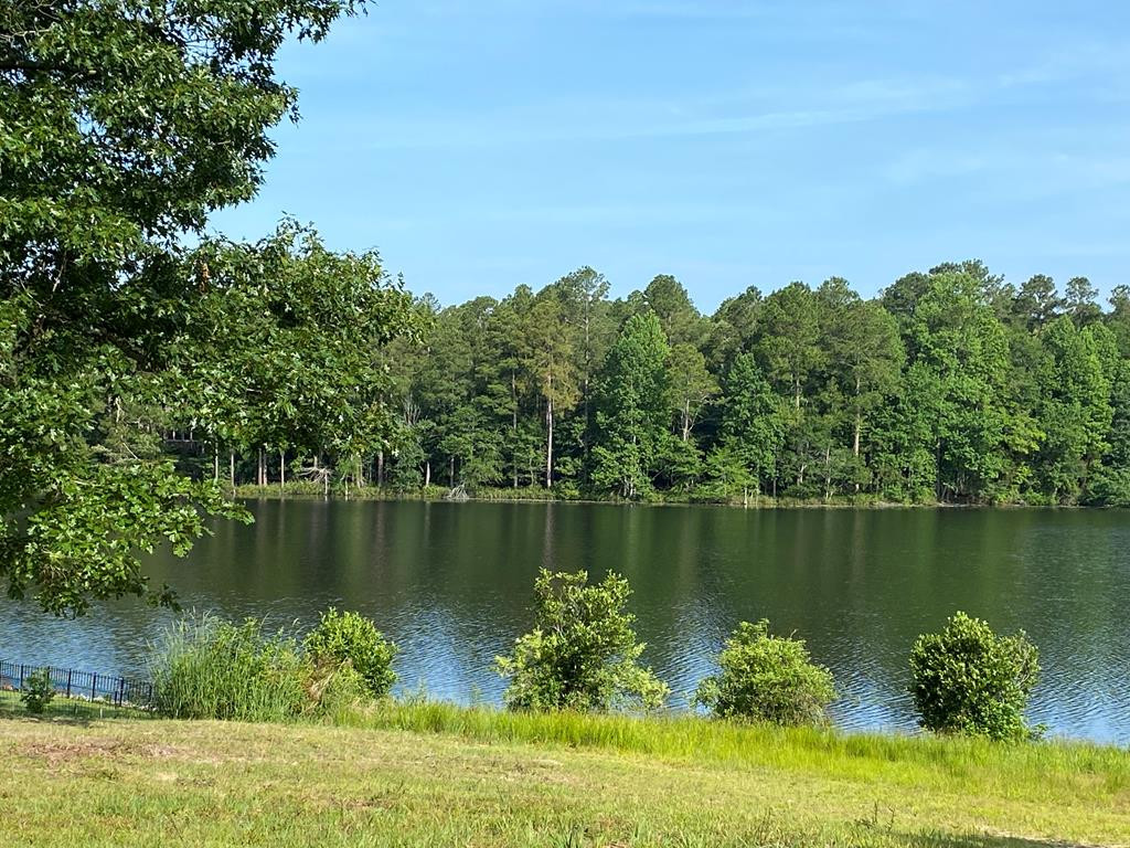 387 Wexford Mill Drive