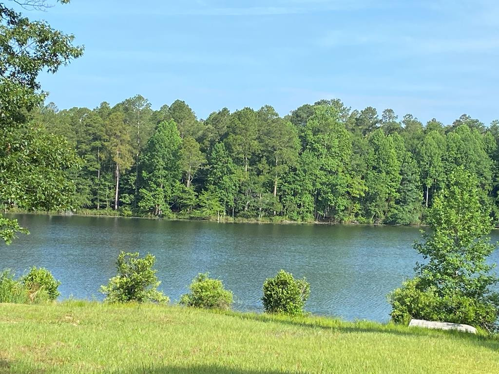 387 Wexford Mill Drive