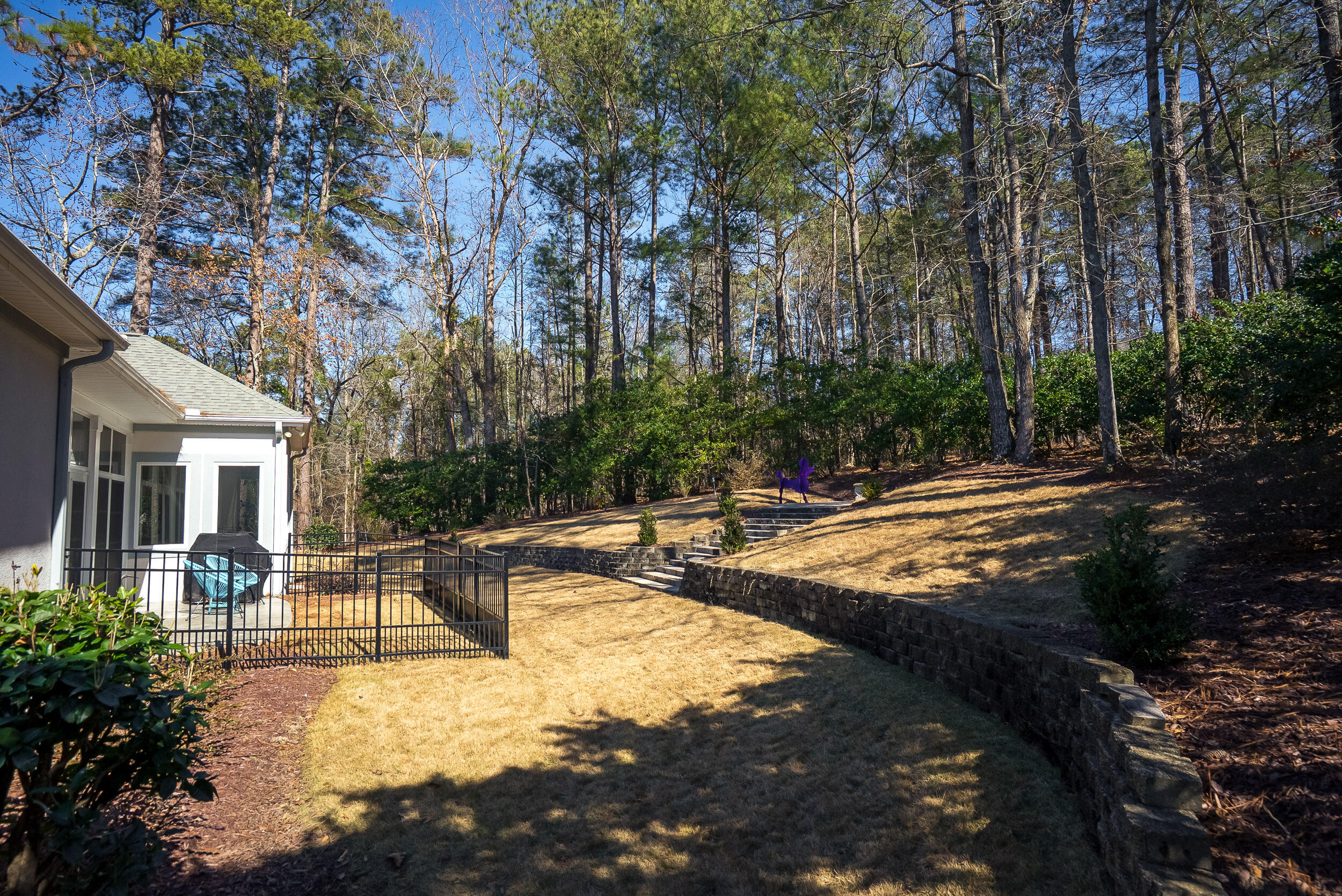 20 Shagbark Court