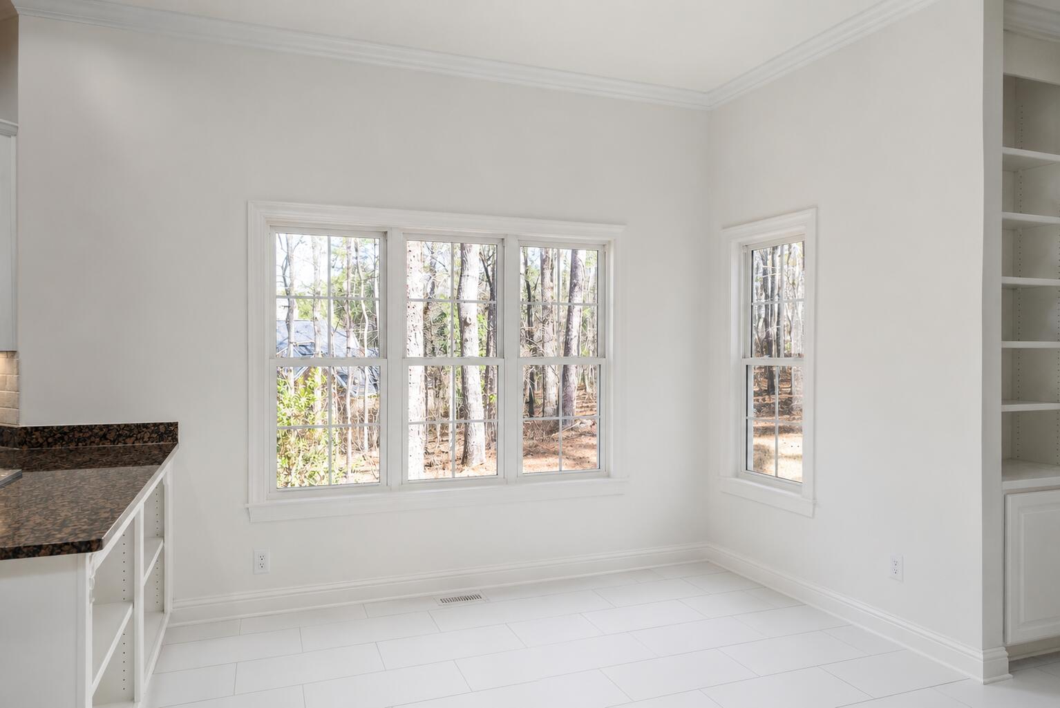 20 Shagbark Court