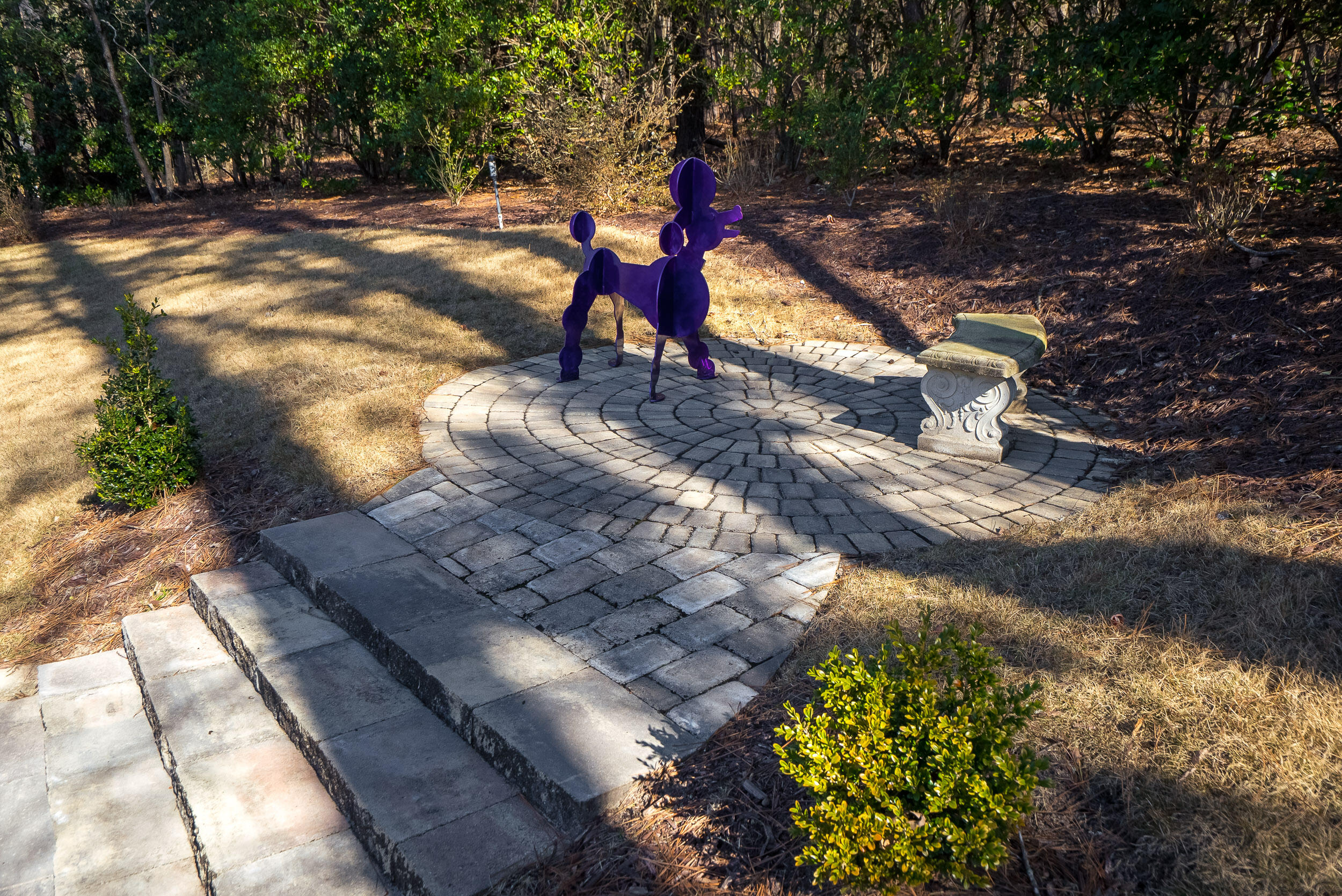 20 Shagbark Court