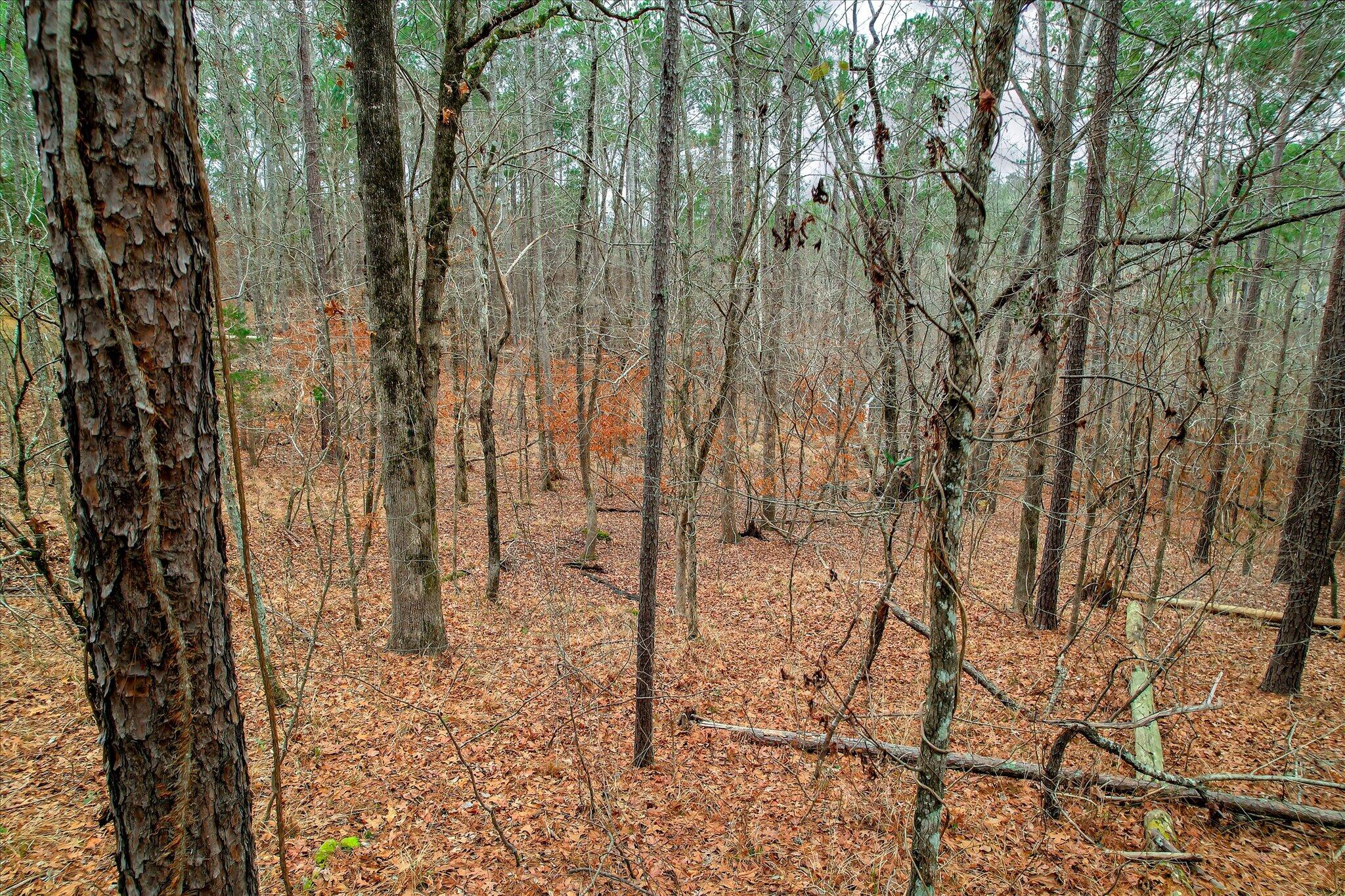 000 Collin Reeds Road