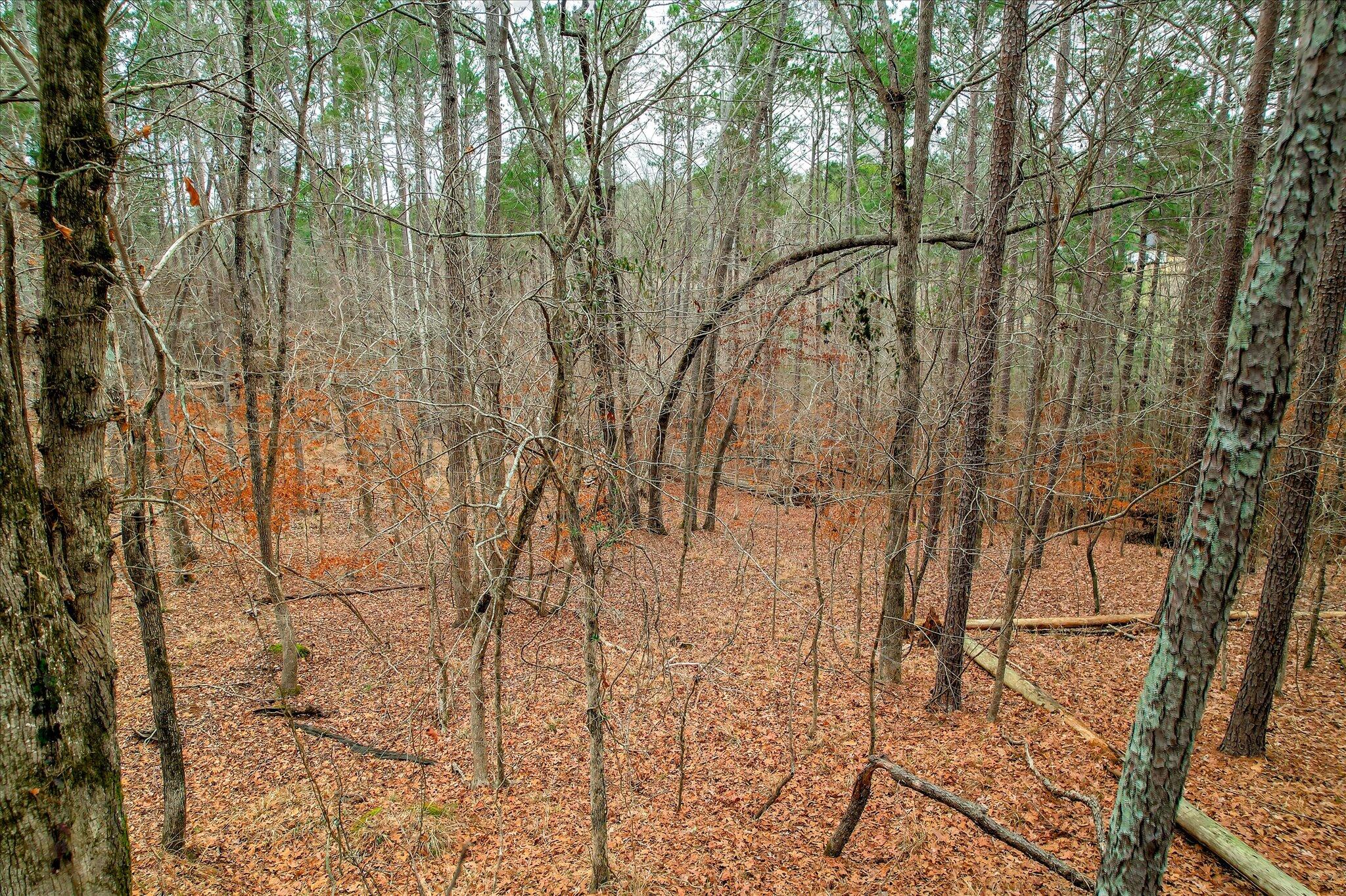 000 Collin Reeds Road