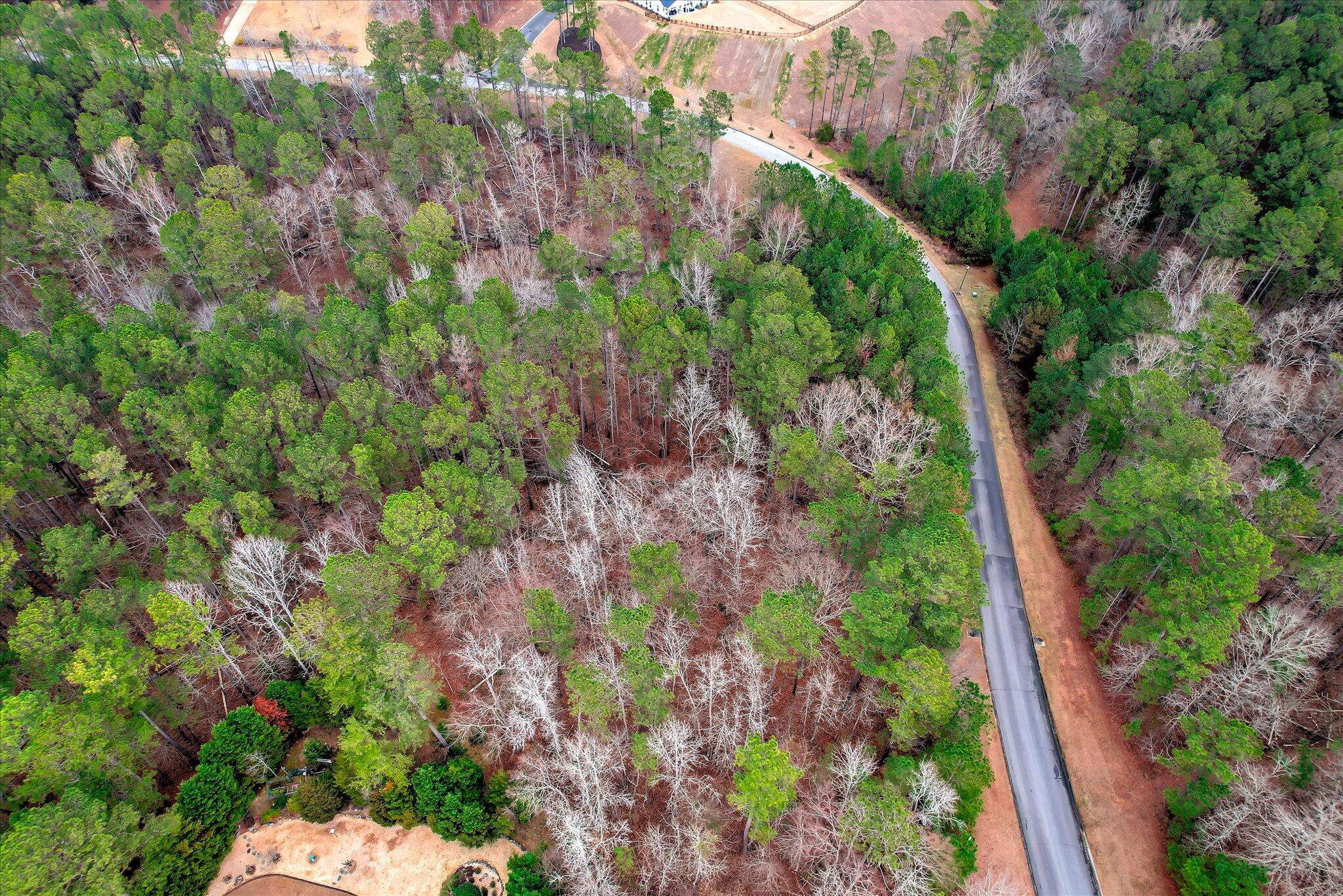 000 Collin Reeds Road