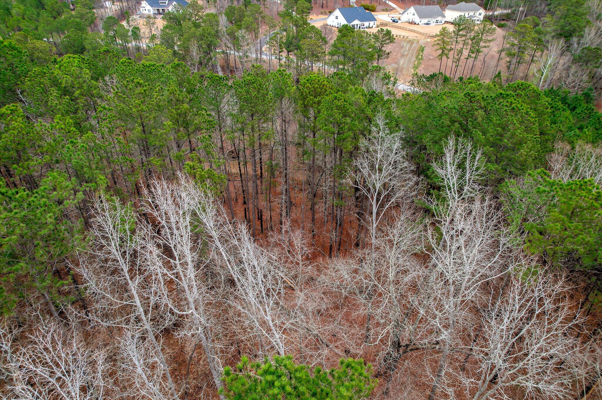 000 Collin Reeds Road