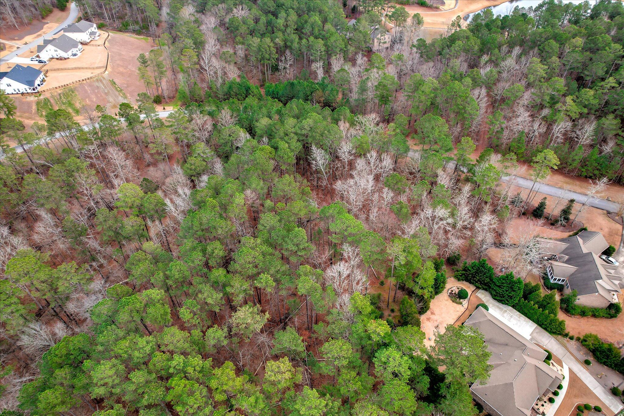 000 Collin Reeds Road