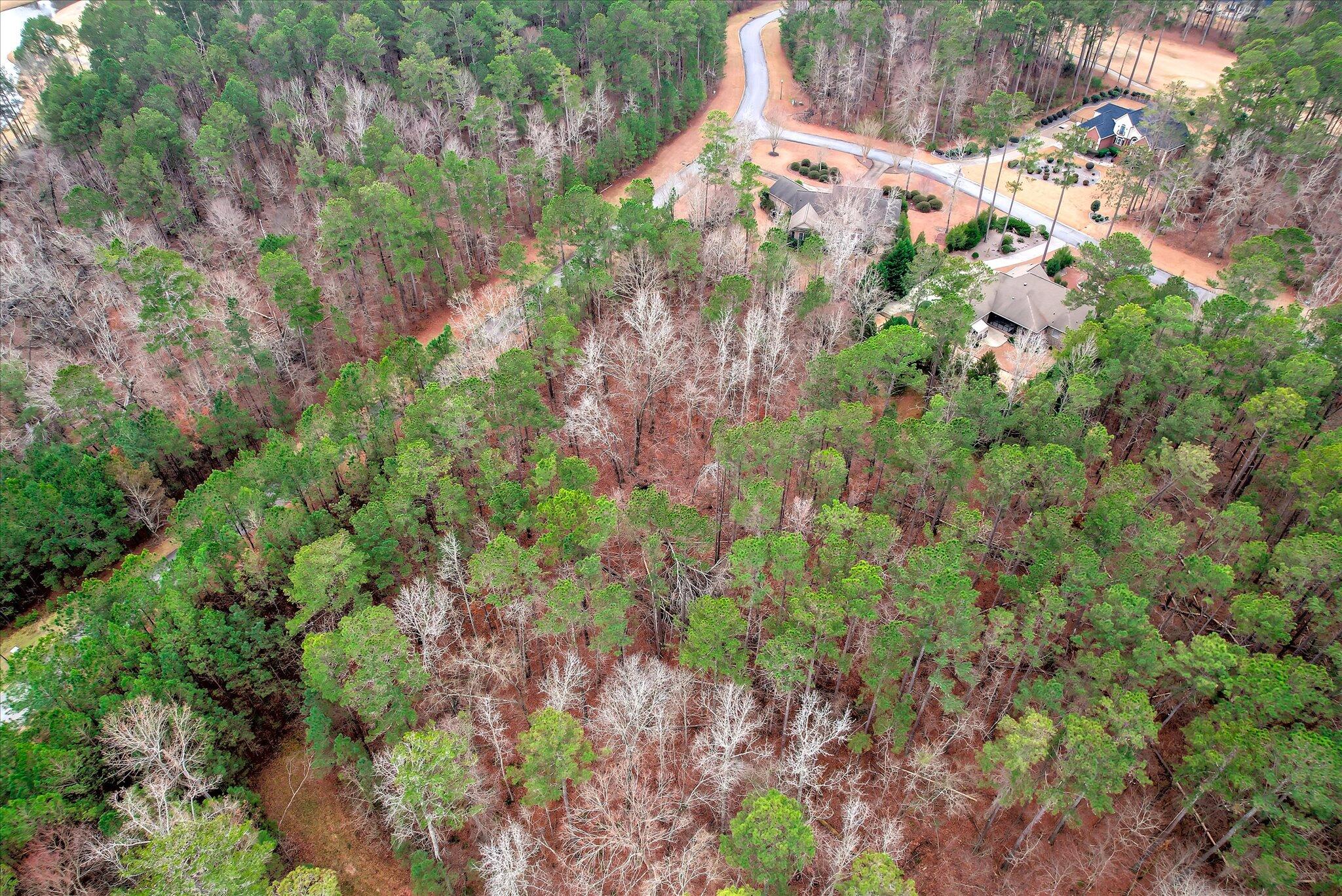 000 Collin Reeds Road