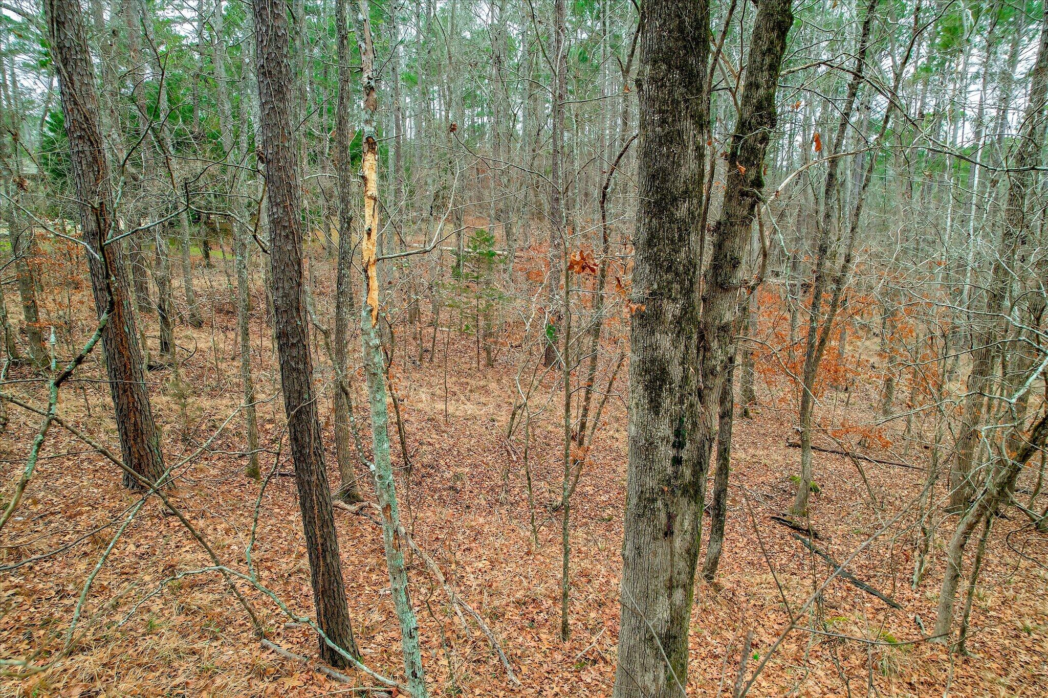 000 Collin Reeds Road