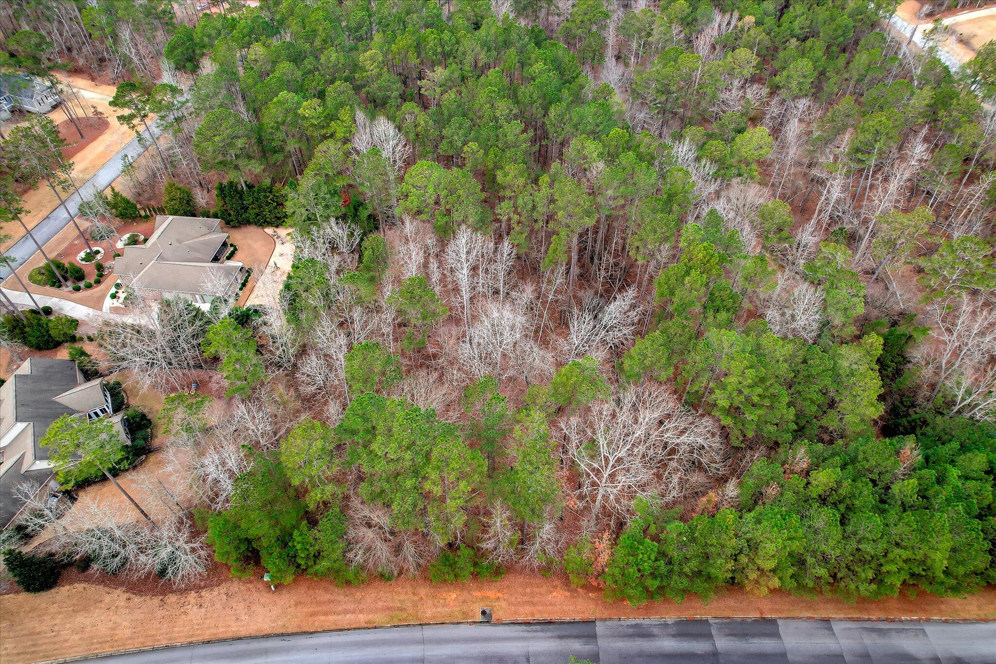 000 Collin Reeds Road