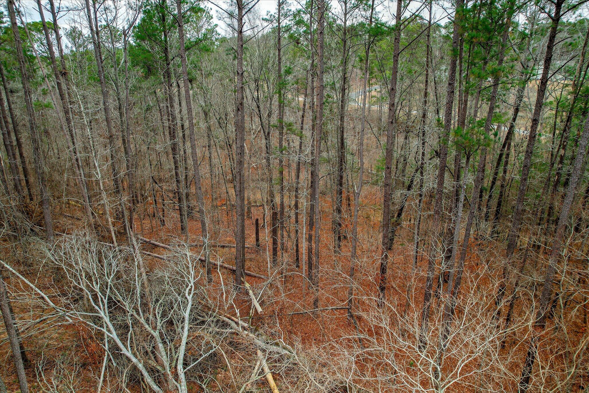 000 Collin Reeds Road