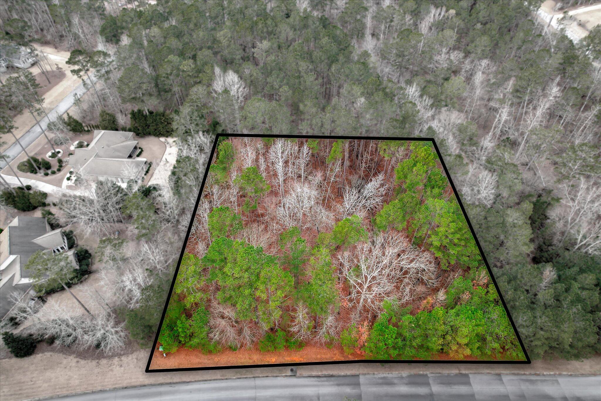 000 Collin Reeds Road