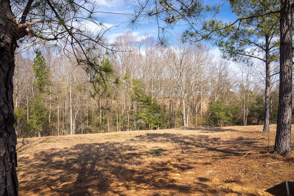 1.62 Acres Lauren Circle