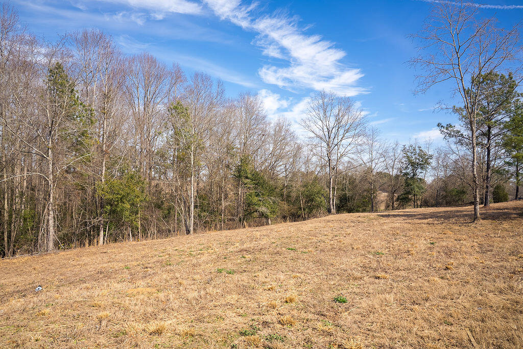 1.62 Acres Lauren Circle