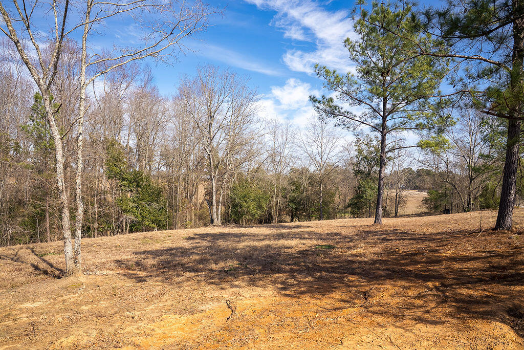 1.62 Acres Lauren Circle