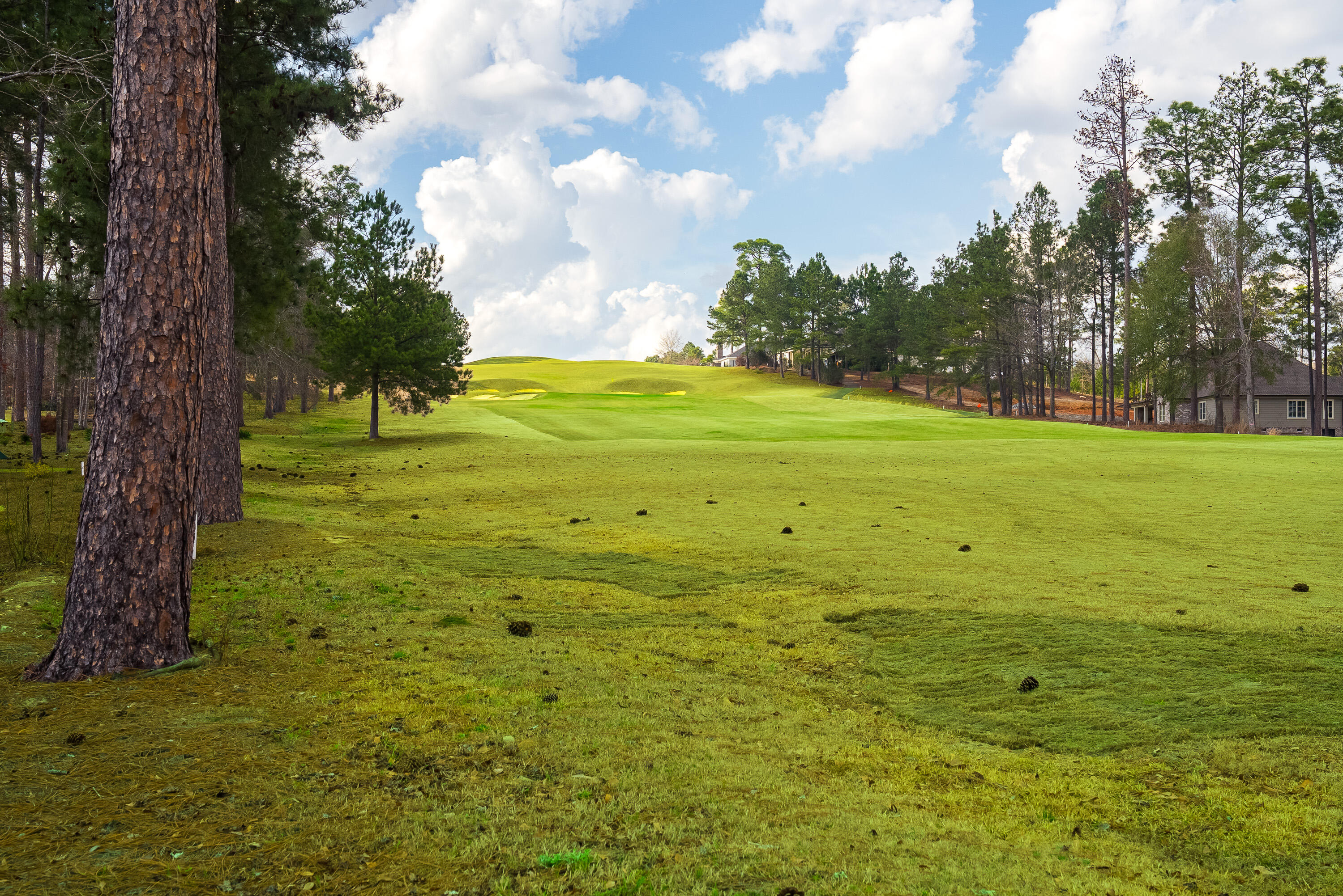 356 Commonwealth Way