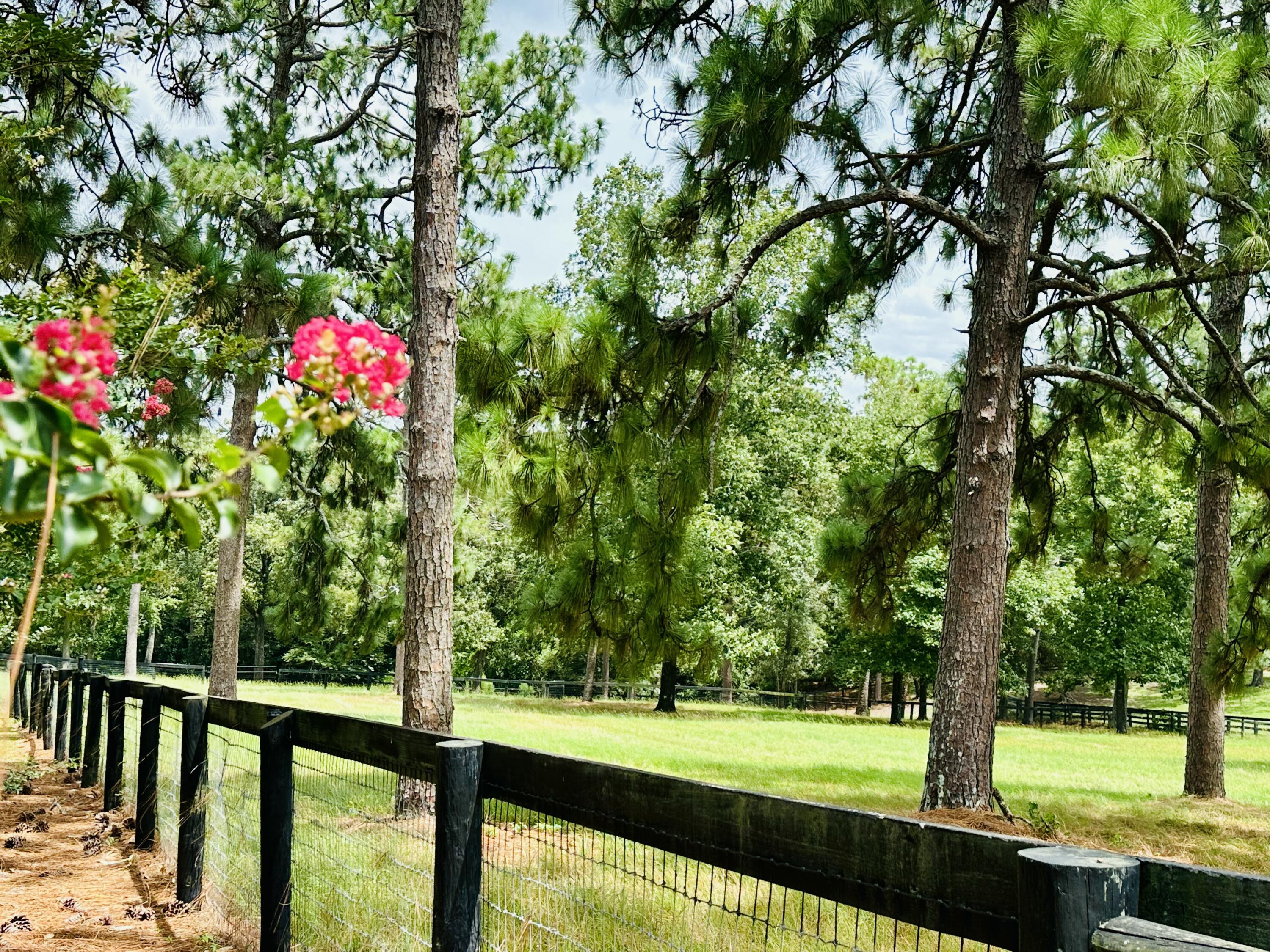 1654 Huntsman Drive