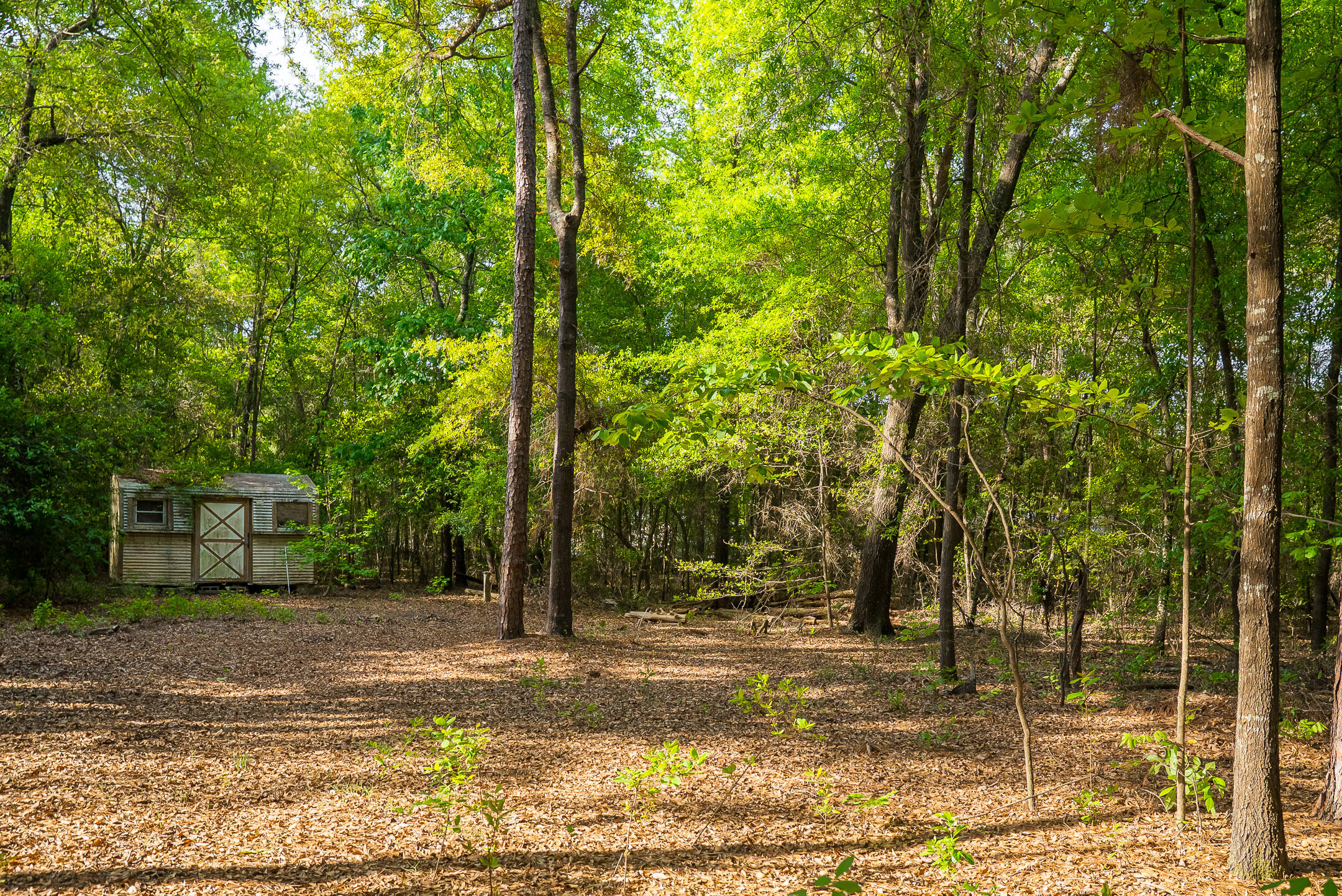 5105 Virginia Hill Court