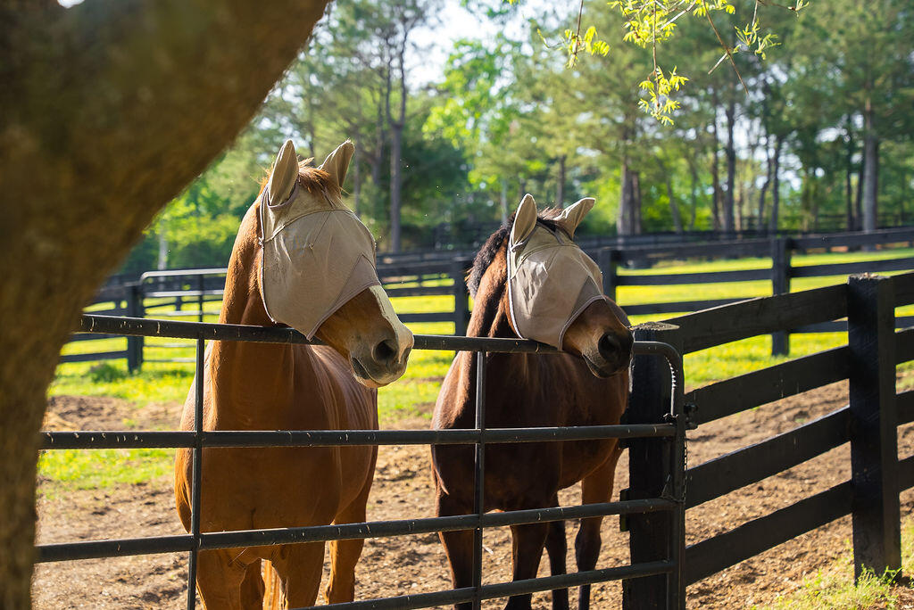 275 Homeward Bound Drive