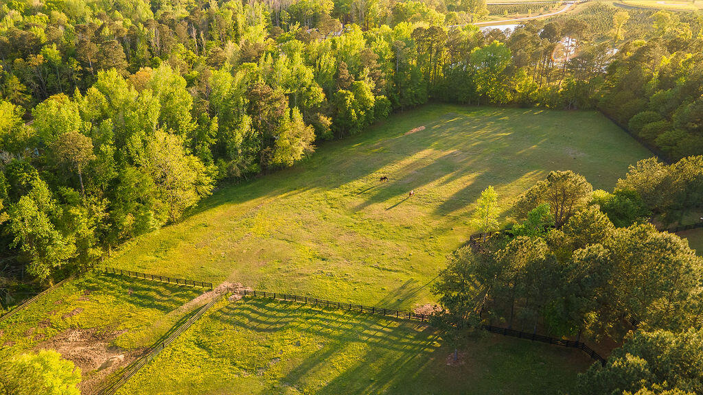 275 Homeward Bound Drive