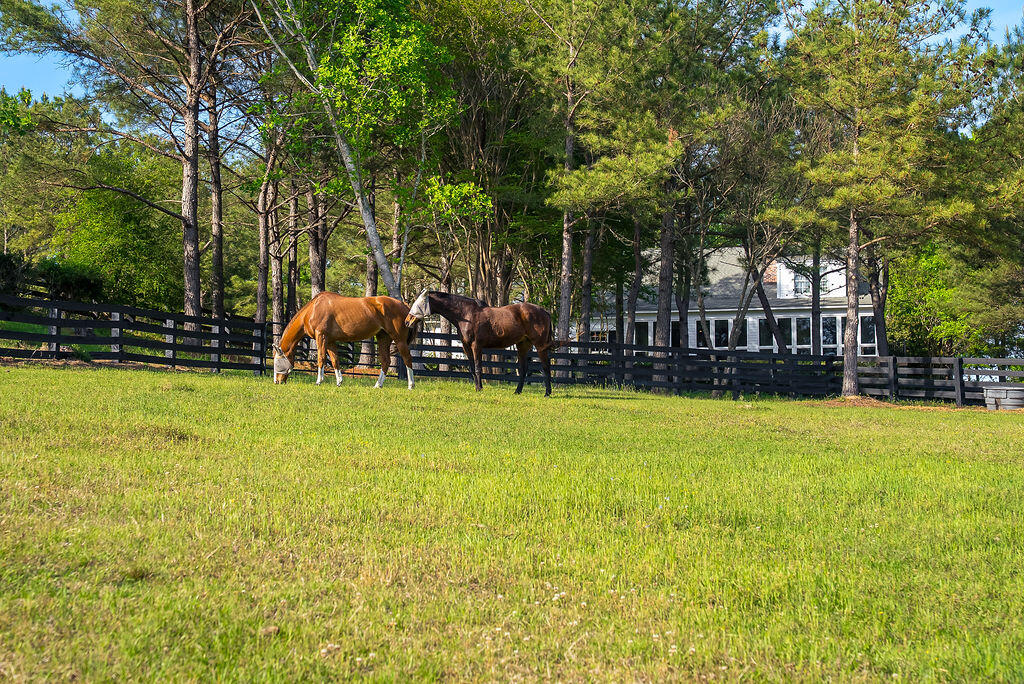 275 Homeward Bound Drive