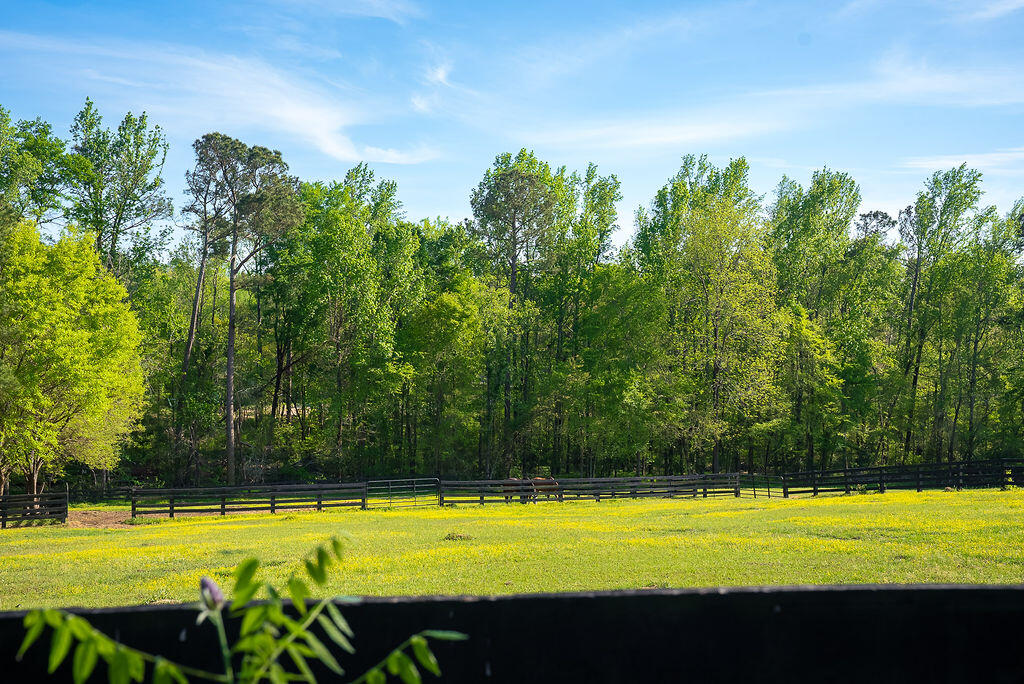 275 Homeward Bound Drive