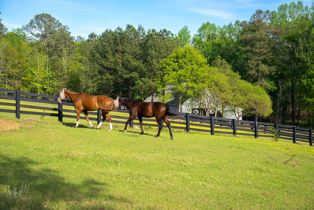 275 Homeward Bound Drive