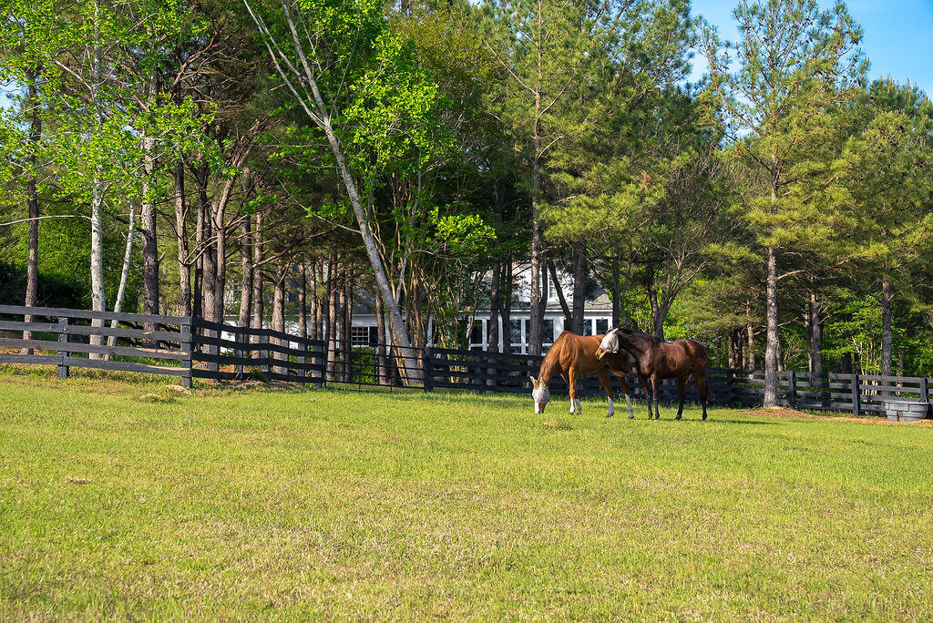 275 Homeward Bound Drive