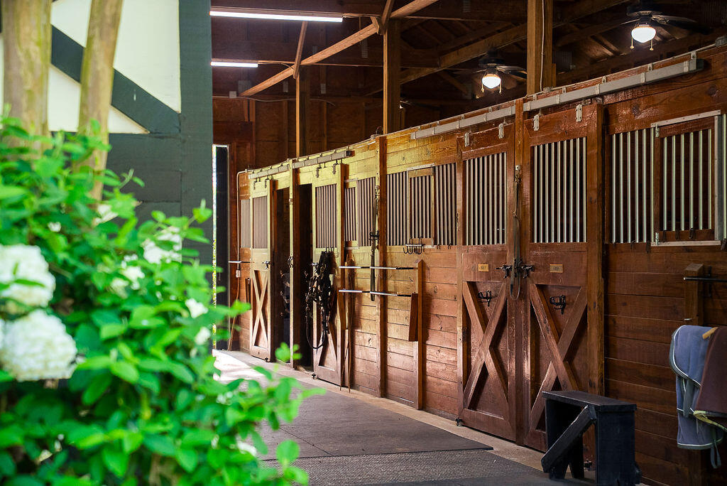 275 Homeward Bound Drive