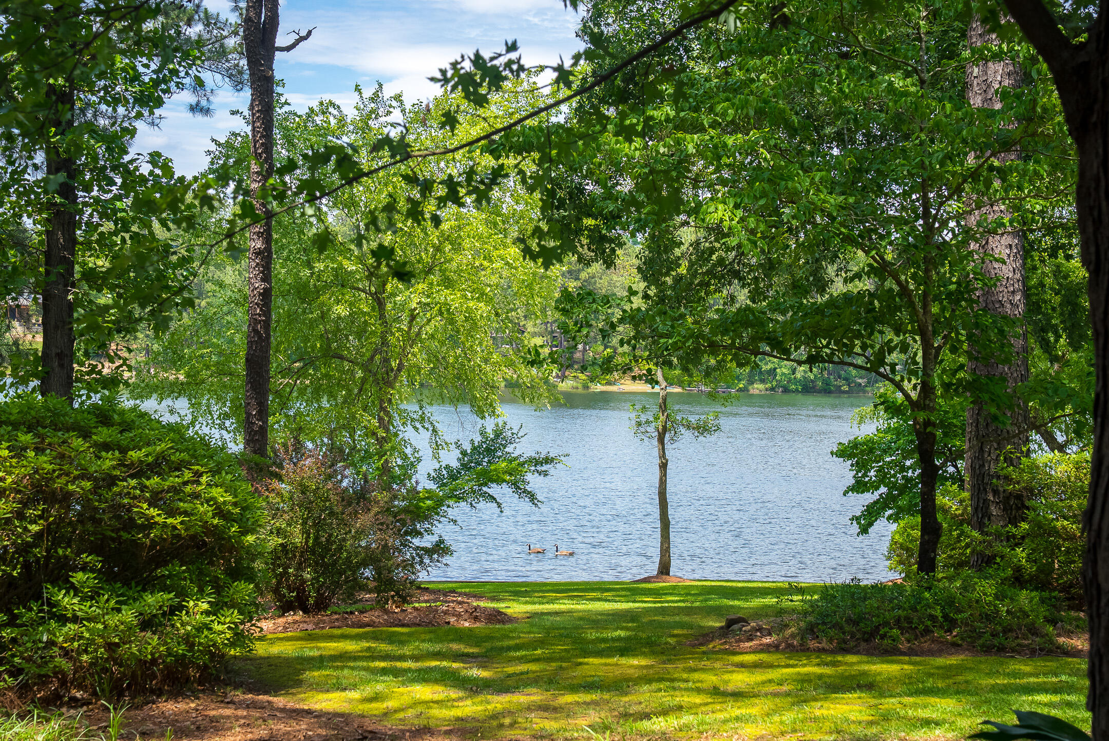 1049 Edisto Lake Road