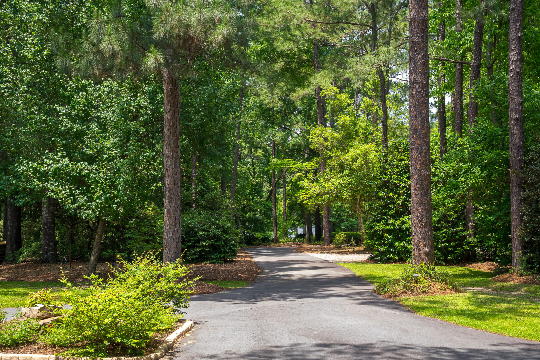1049 Edisto Lake Road