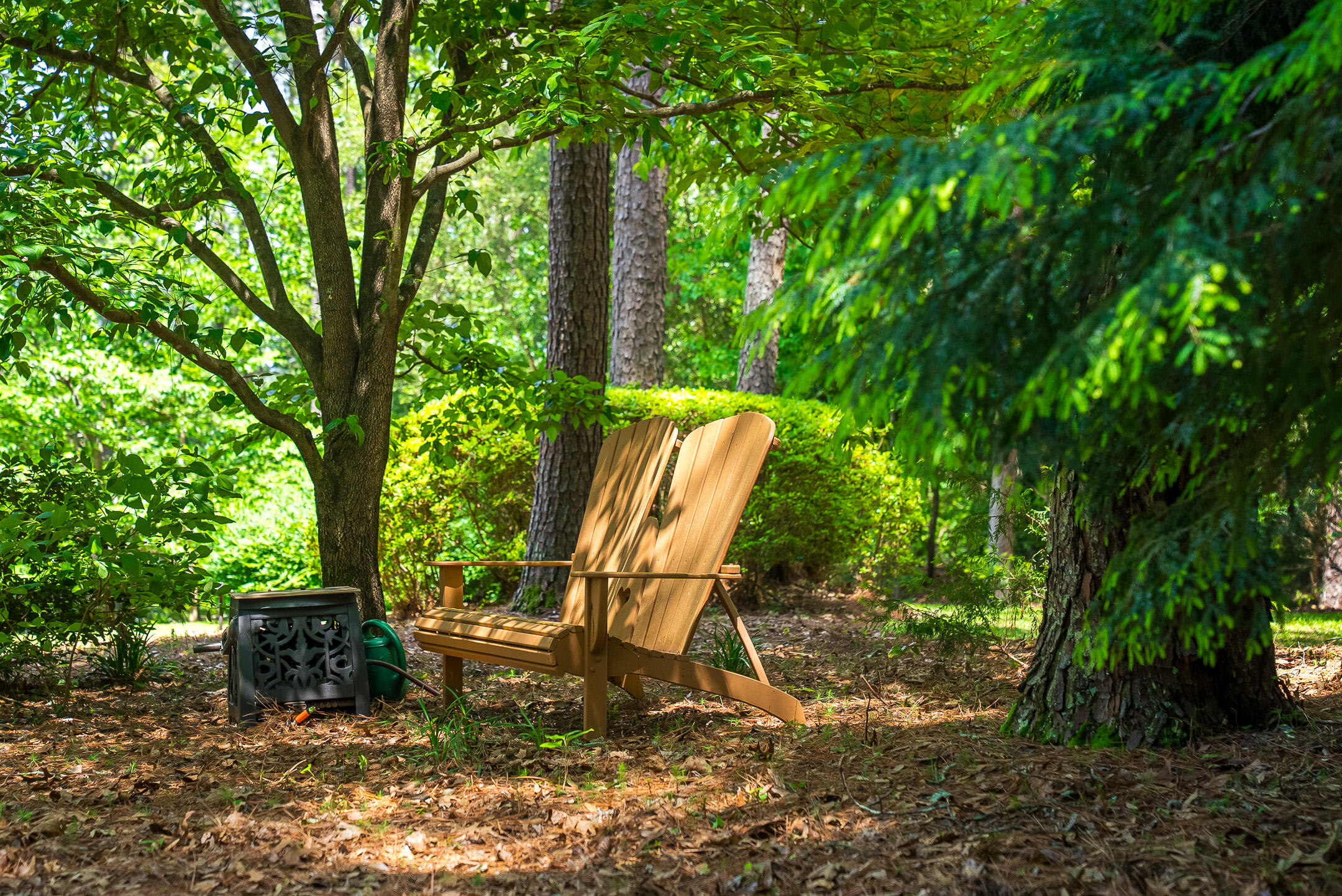 1049 Edisto Lake Road