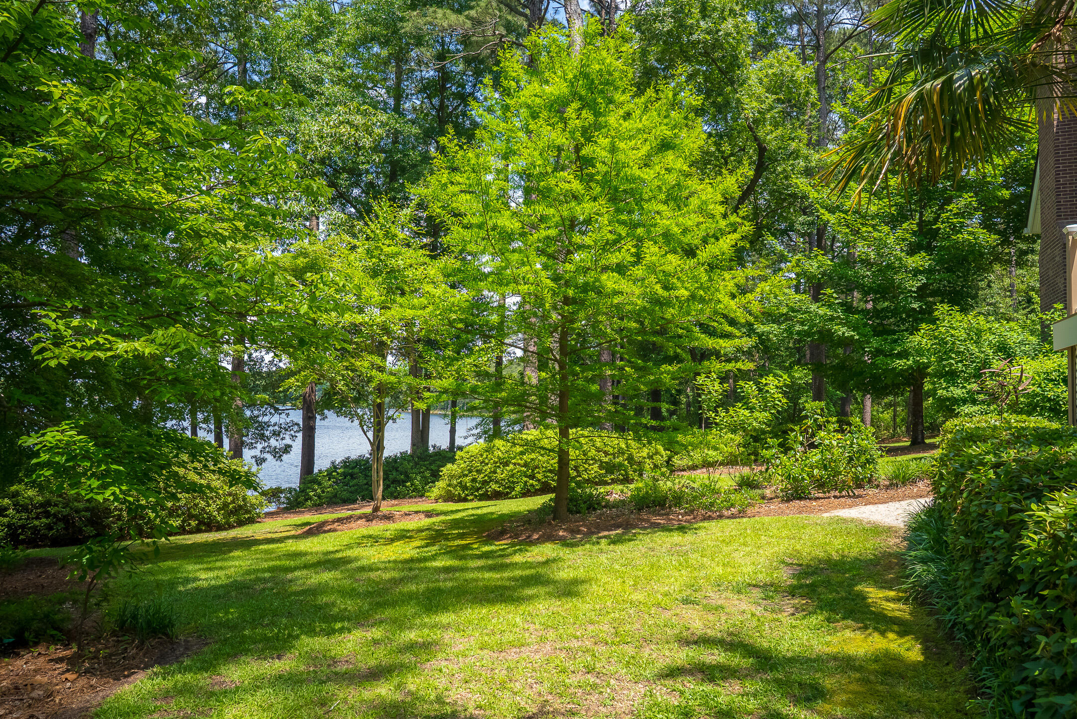 1049 Edisto Lake Road