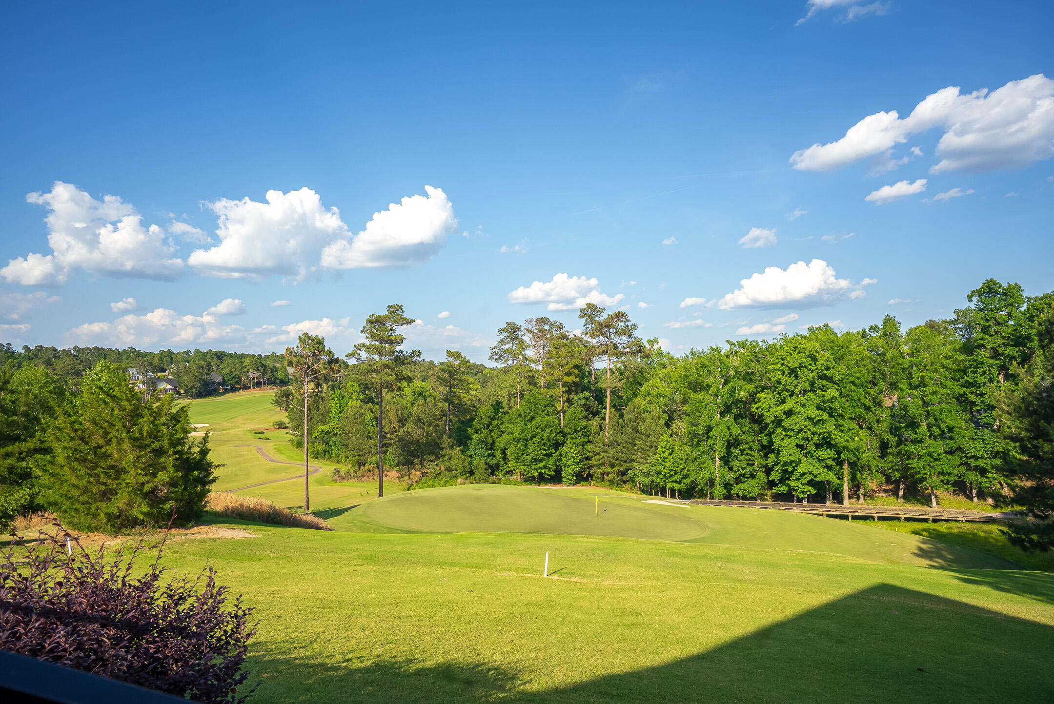 206 Quiet Oak Court