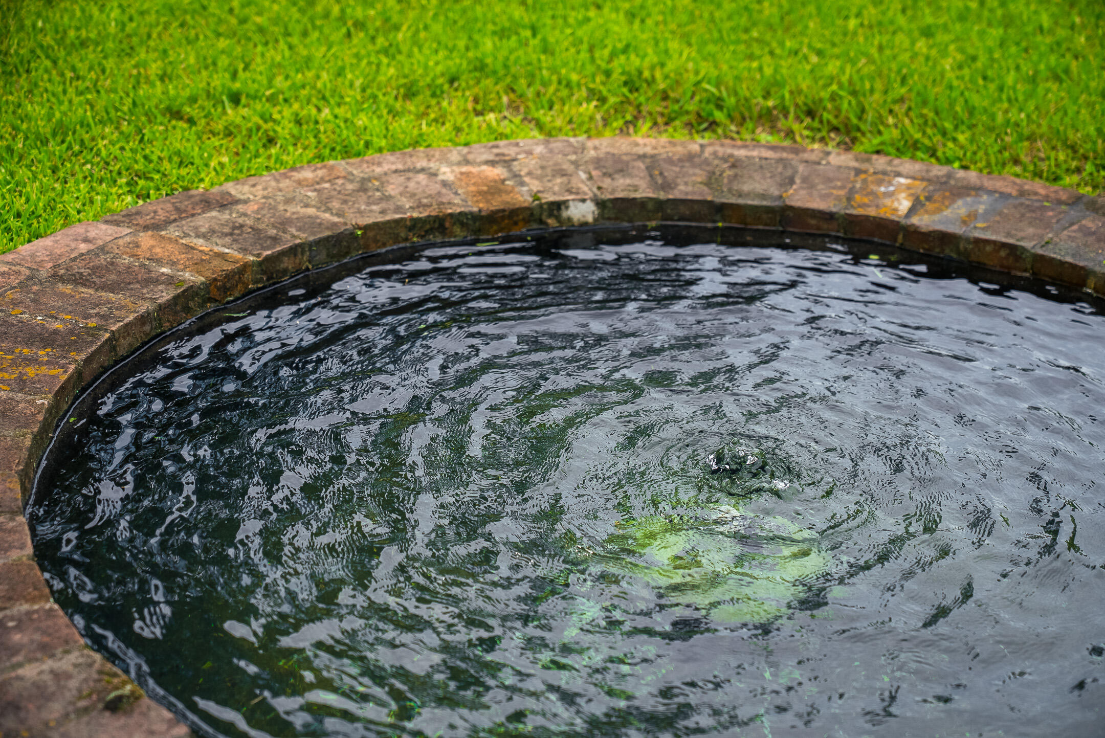 208 South Boundary Avenue SE